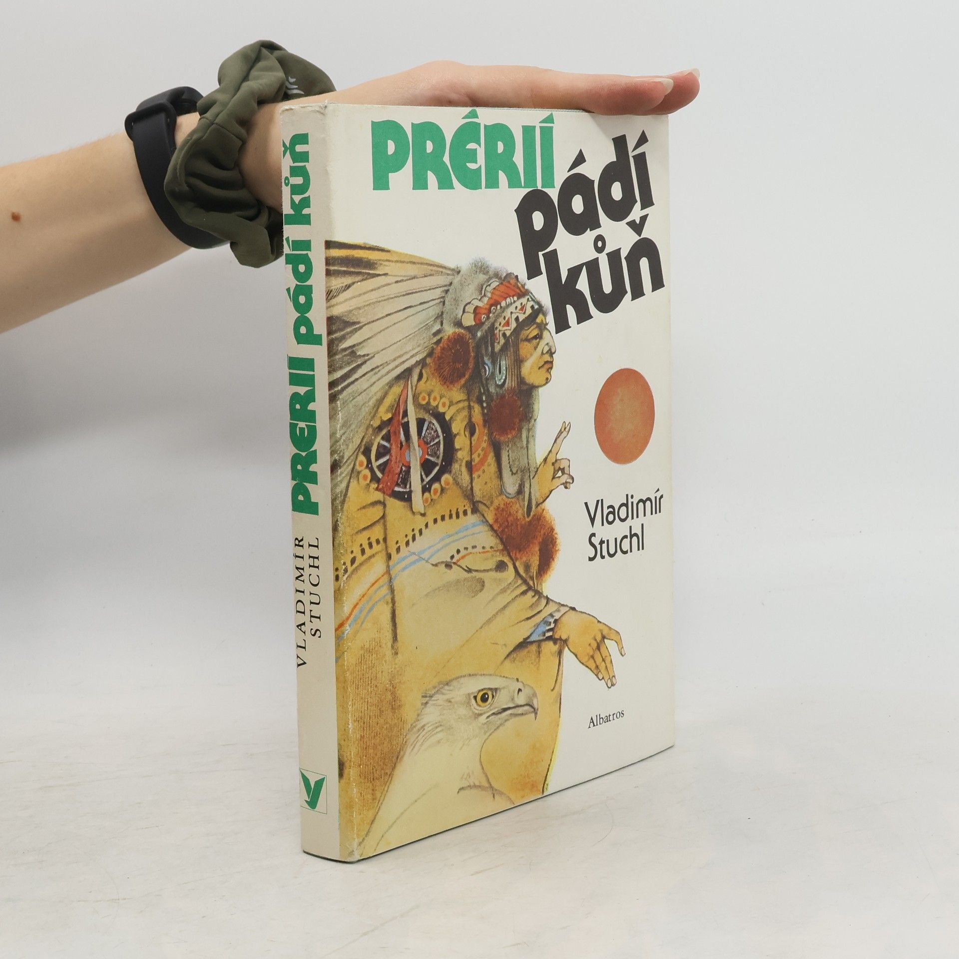 Vladimír Stuchl Prérií pádí kůň