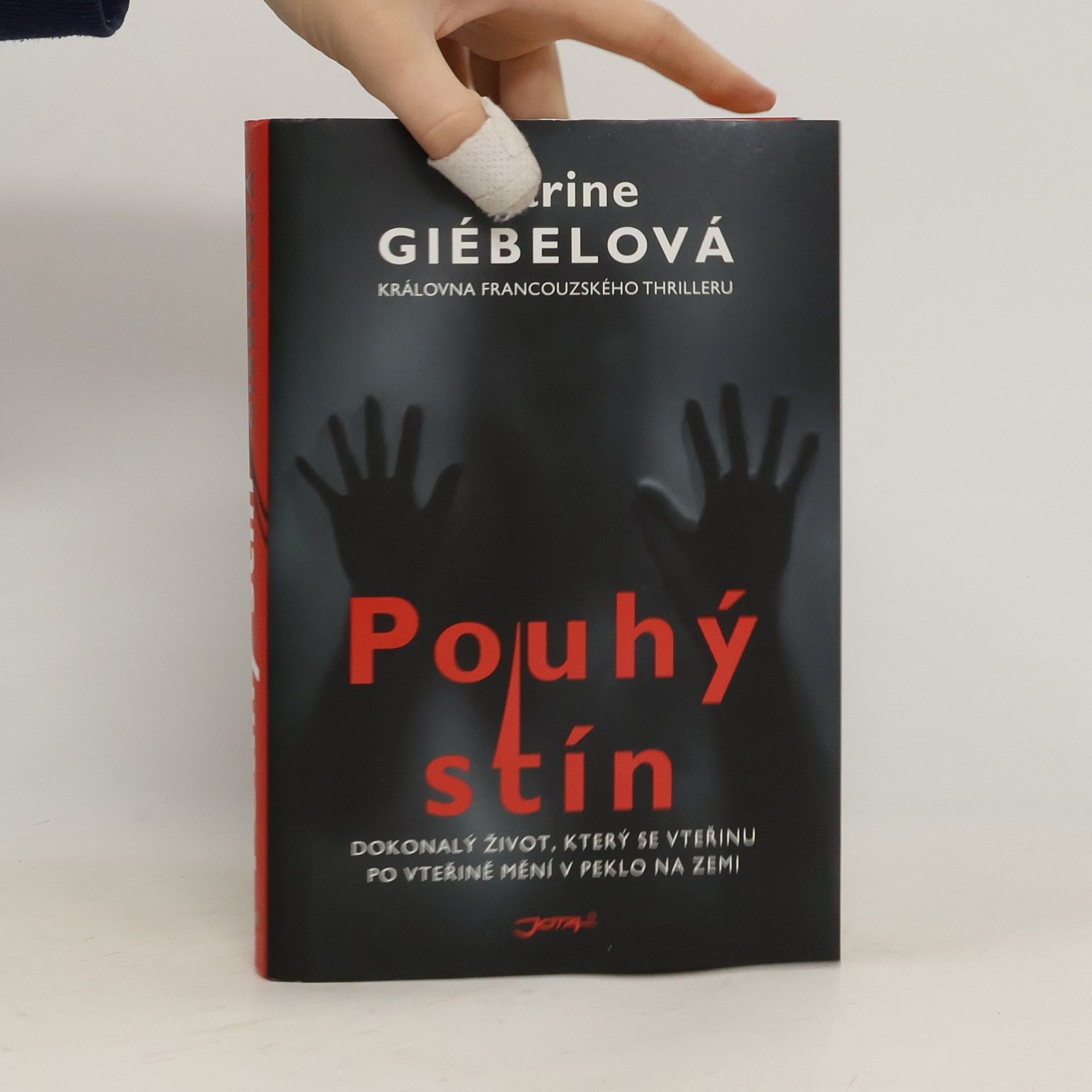 Karine Giebel Pouhý stín