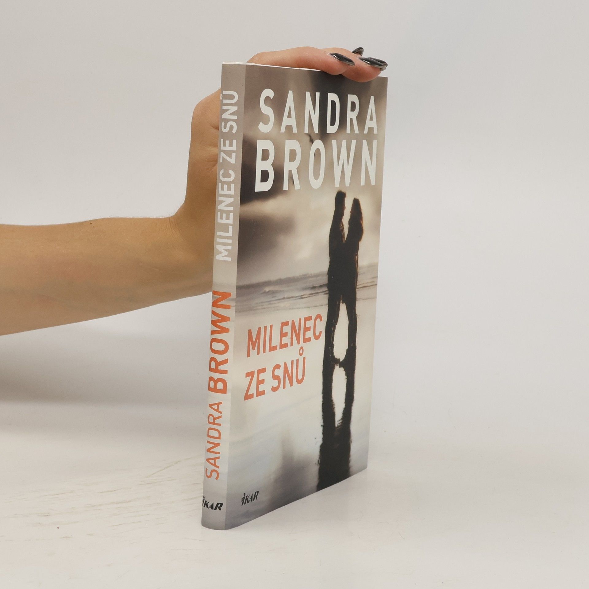 Sandra Brown Milenec ze snů