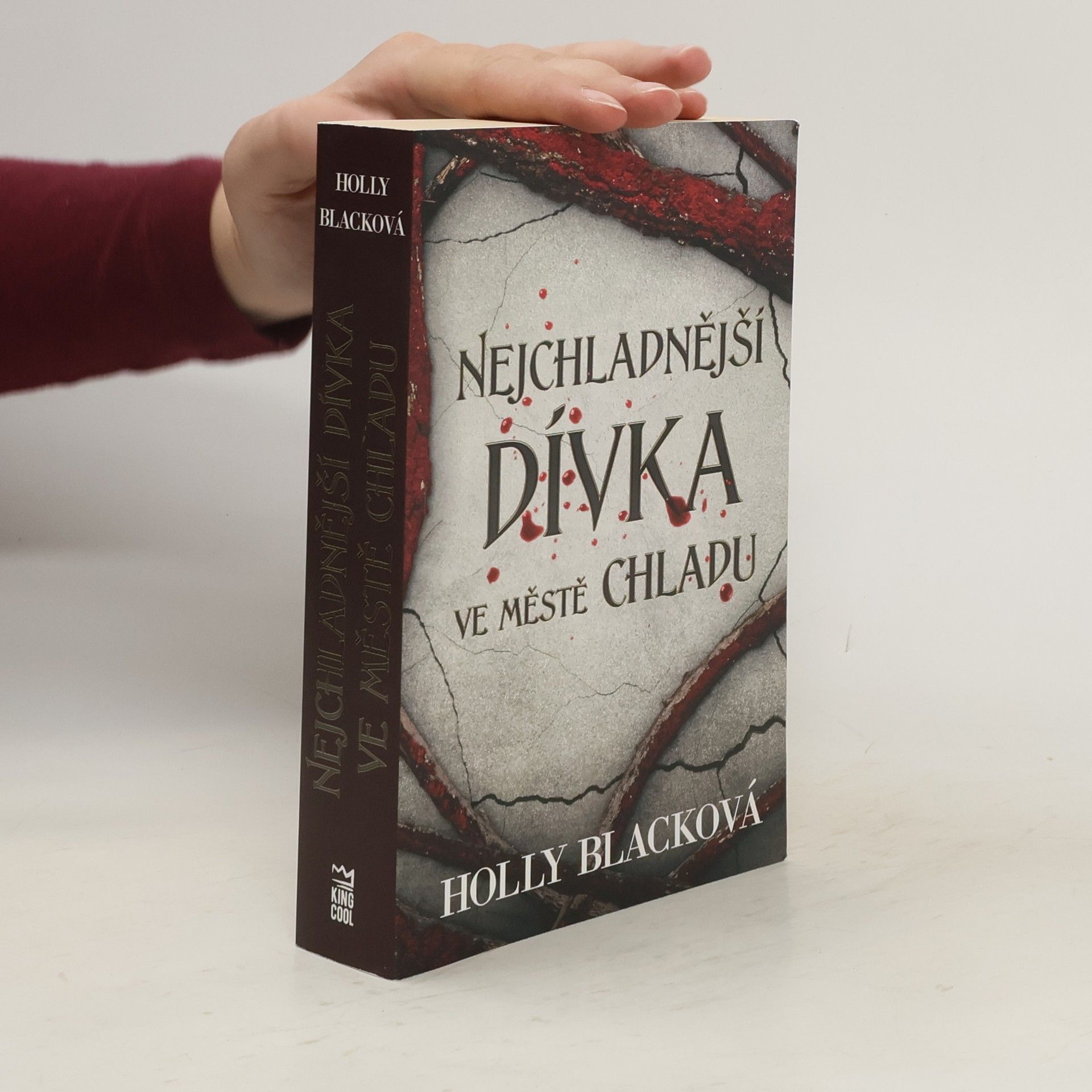 Holly Black Nejchladnější dívka ve městě chladu