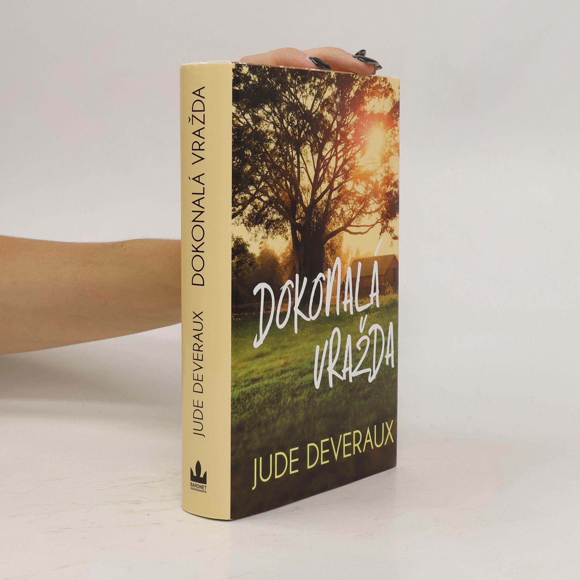 Jude Deveraux Dokonalá vražda