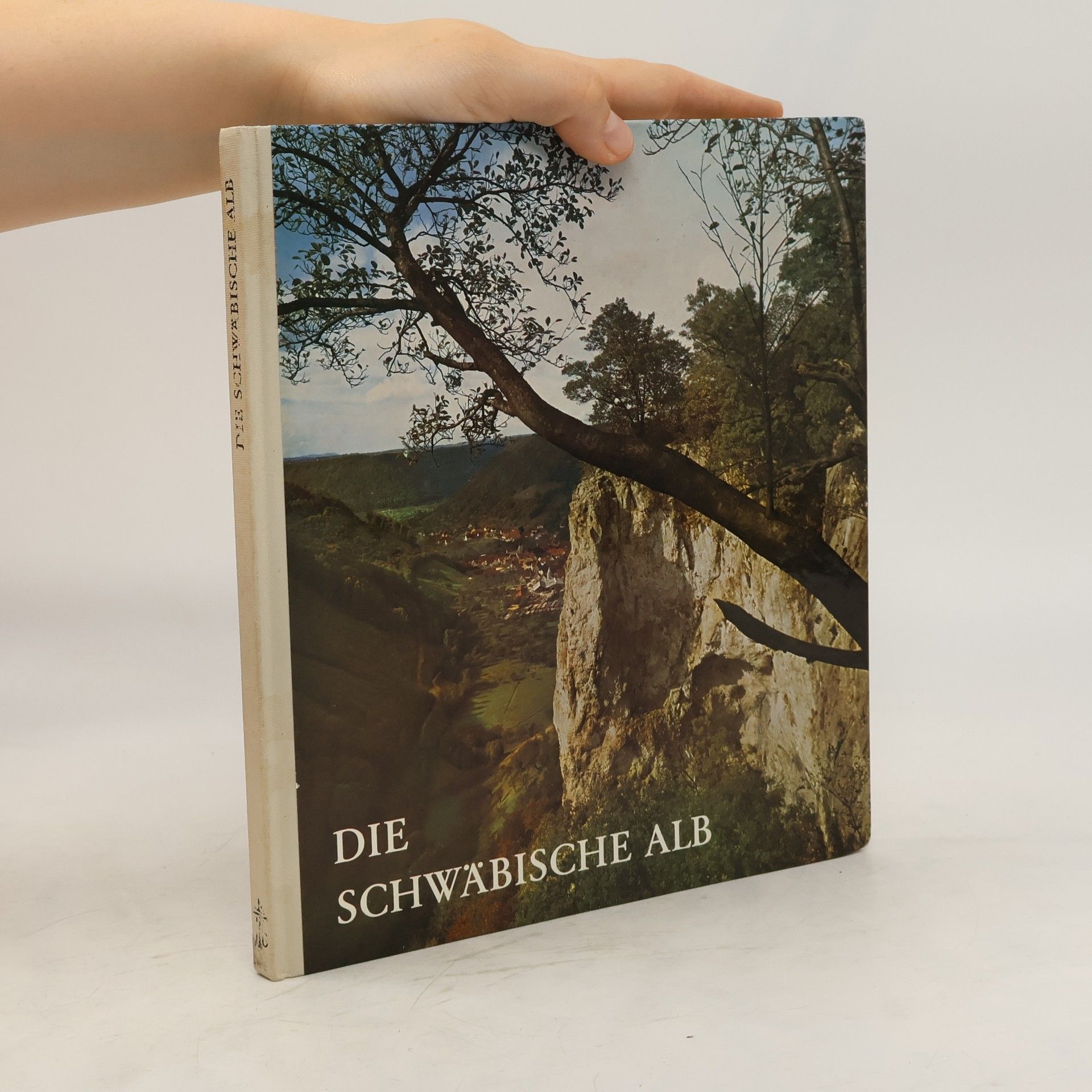 Franz Georg Brustgi Die Schwäbische Alb