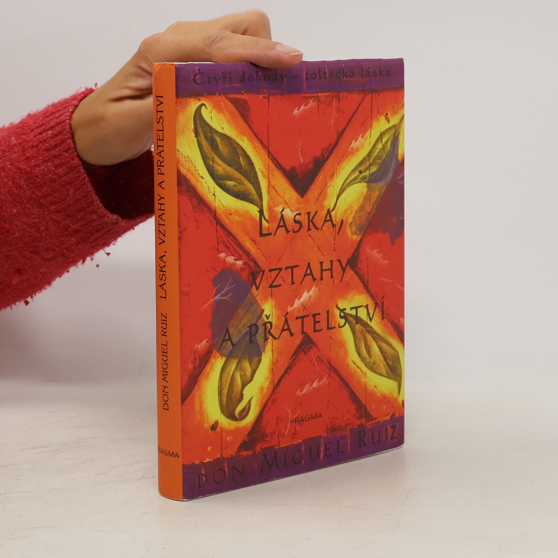 Don Miguel Ruiz Láska, vztahy a přátelství