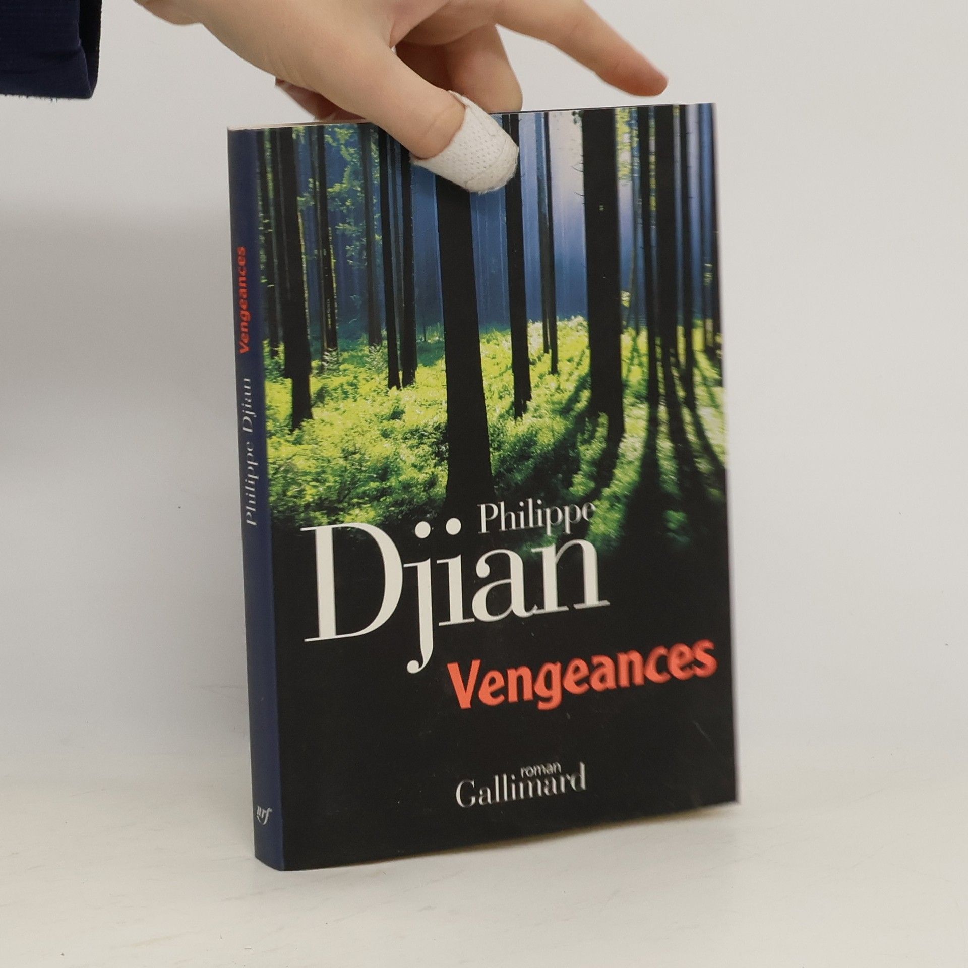 Philippe Djian Vengeances