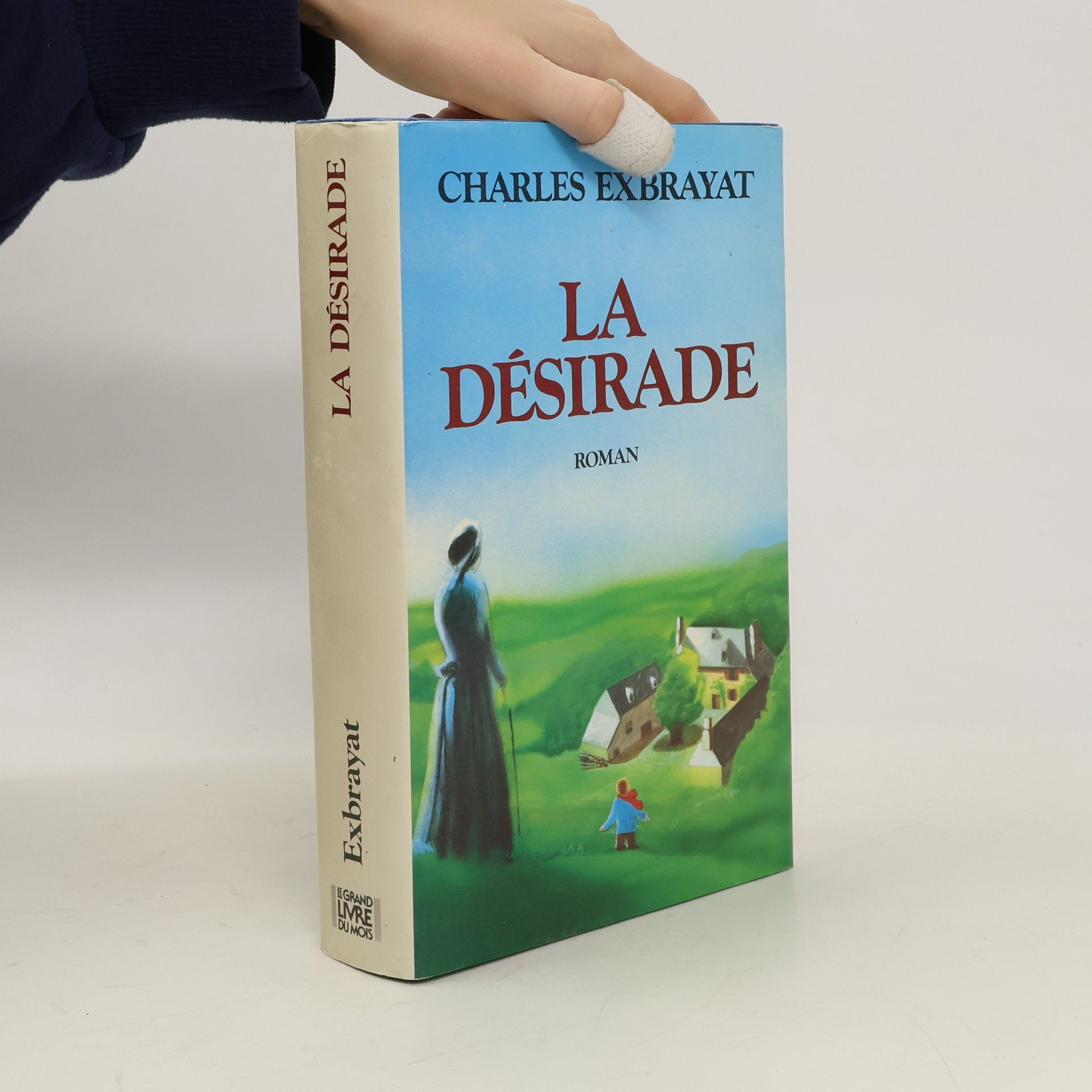 Denis Demonpion Cécilia : la face cachée de l'ex-première dame
