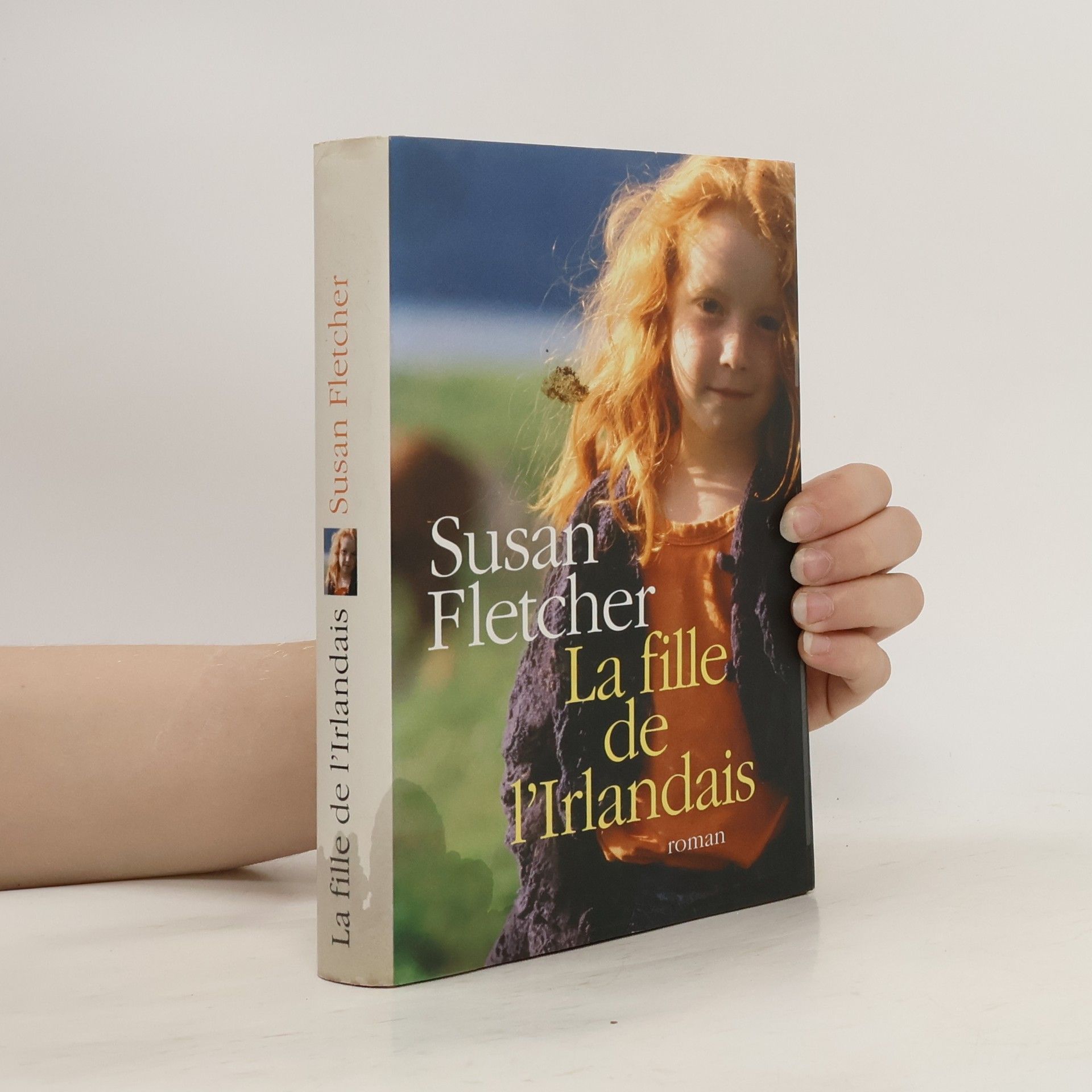 Susan Fletcher La fille de l'Irlandais : roman