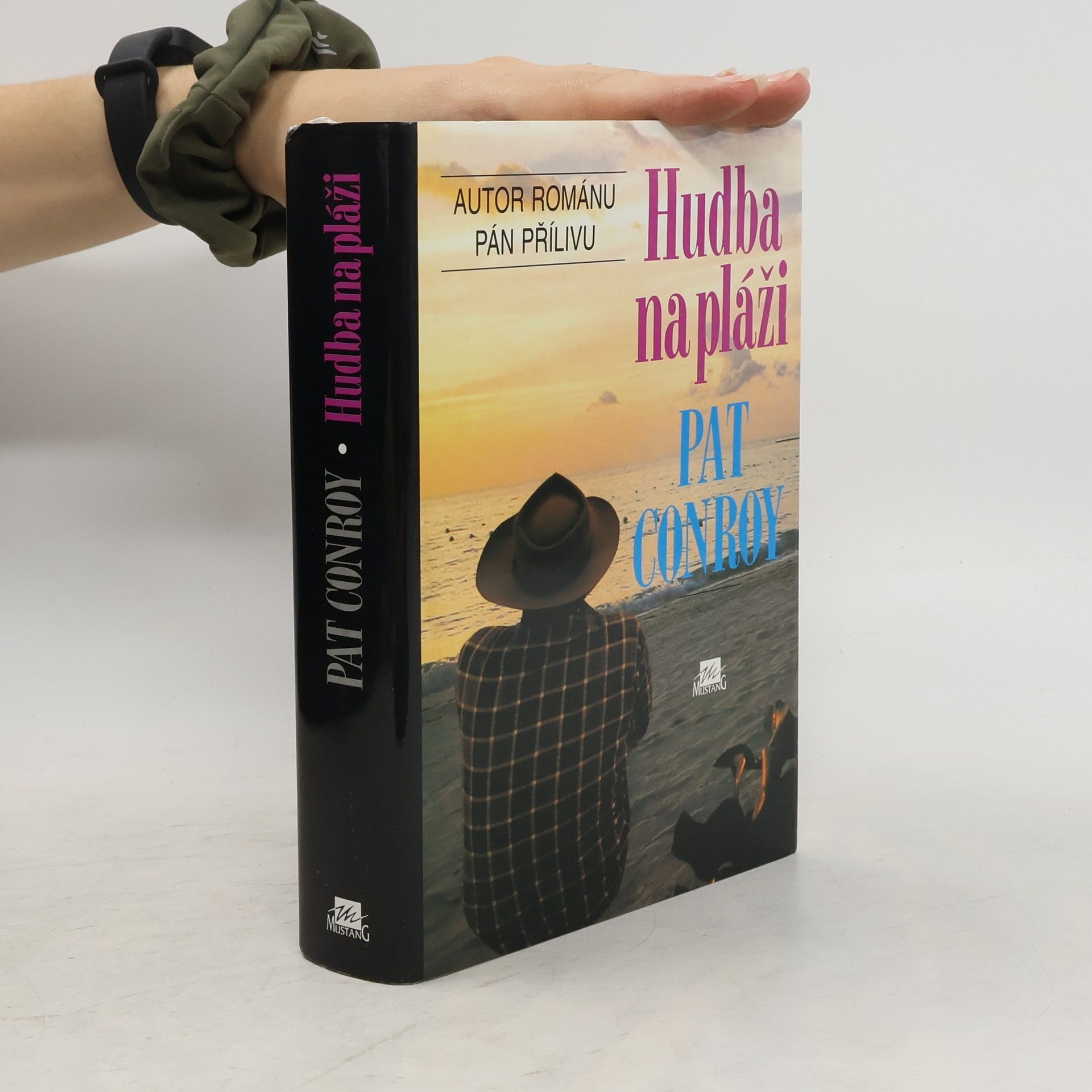 Pat Conroy Hudba na pláži