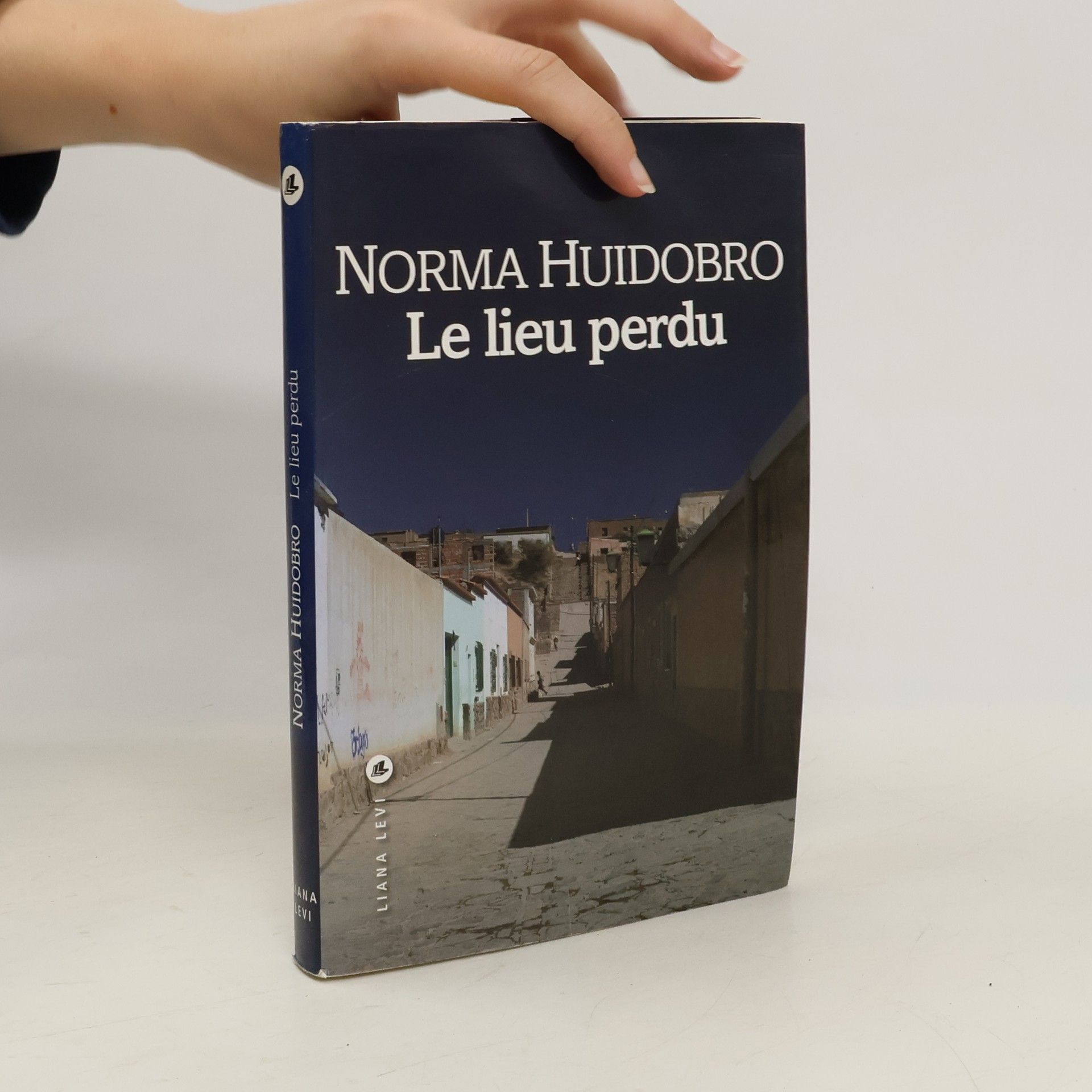 Norma Huidobro Le lieu perdu