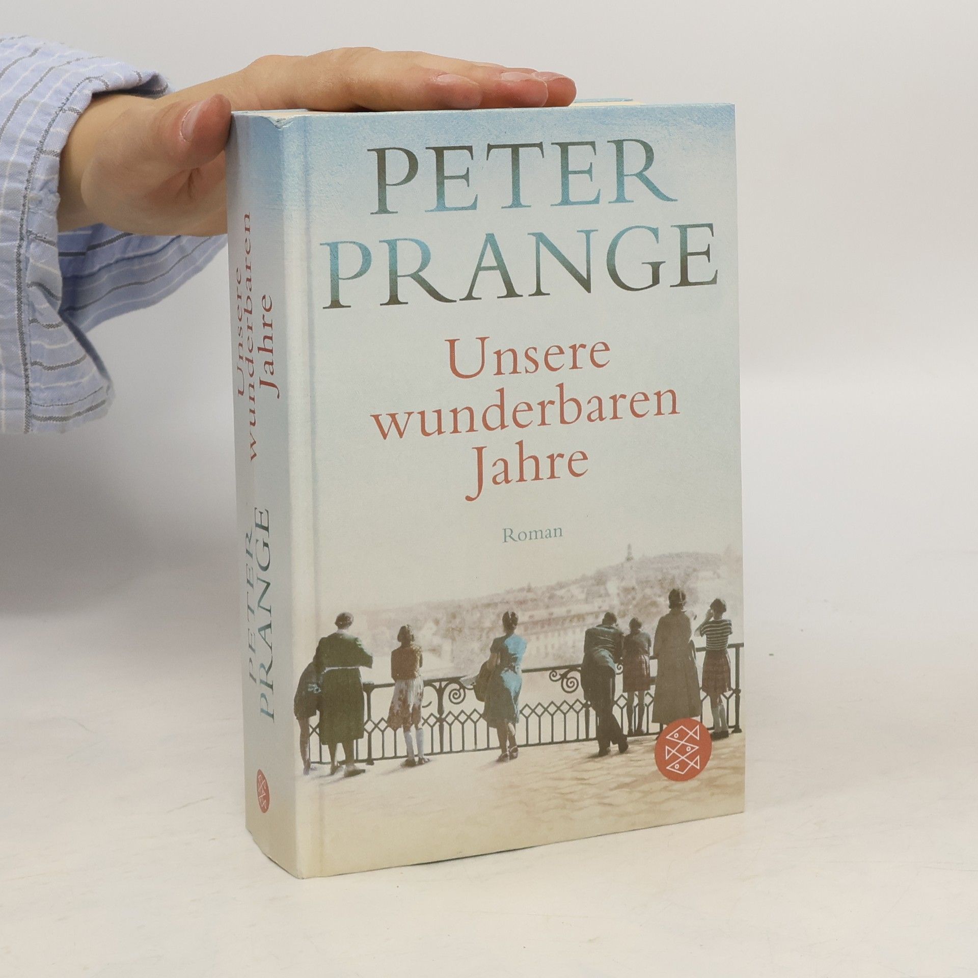 Peter Prange Unsere wunderbaren Jahre