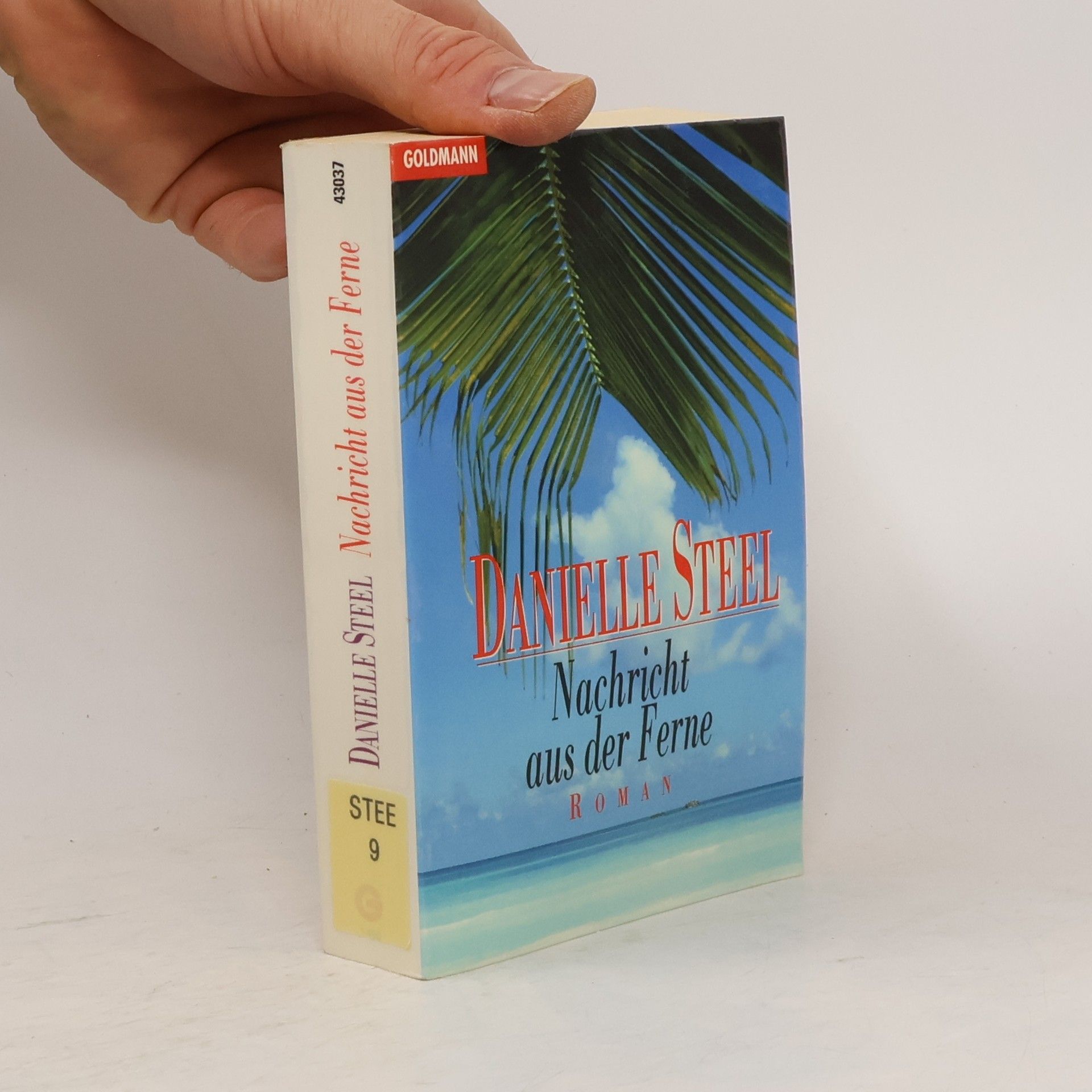 Danielle Steel Nachricht aus der Ferne