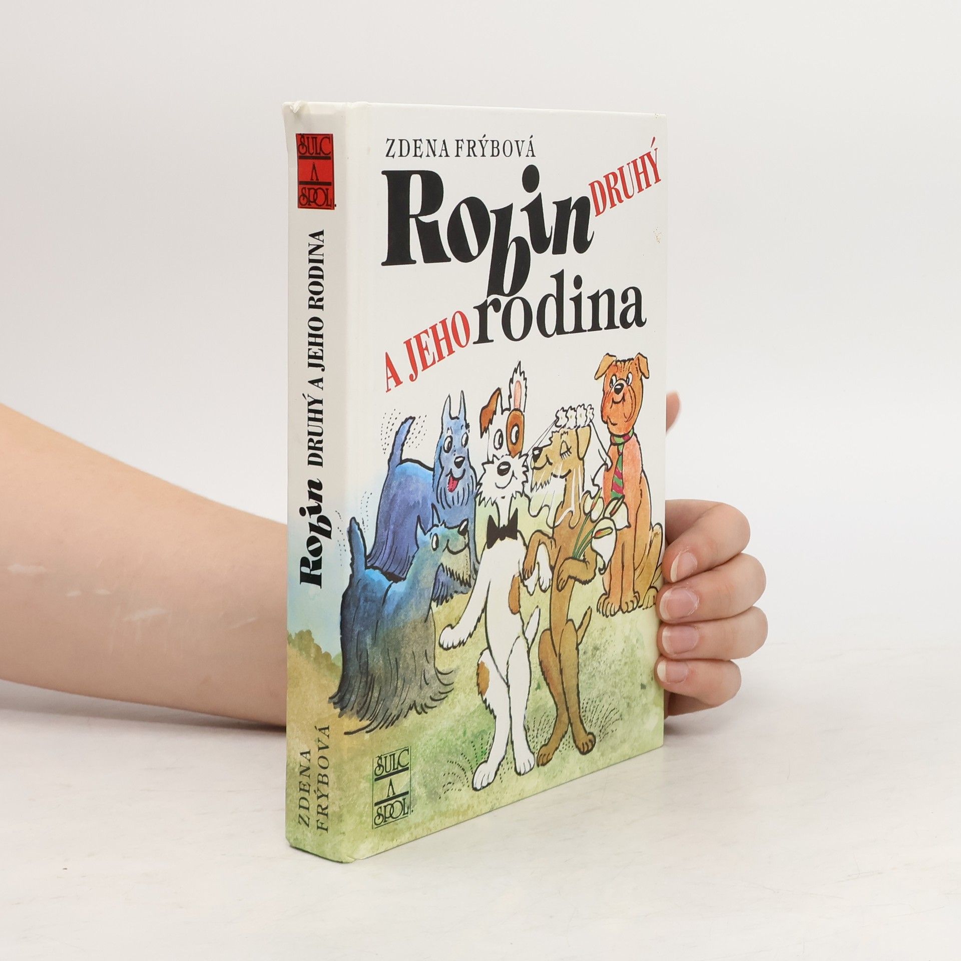 Zdena Frýbová Robin Druhý a jeho rodina