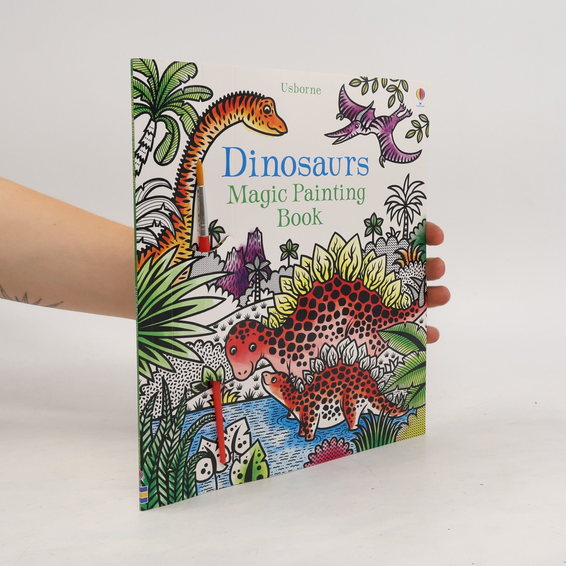 Lucy Bowman Dinosaurs Magic Painting Book