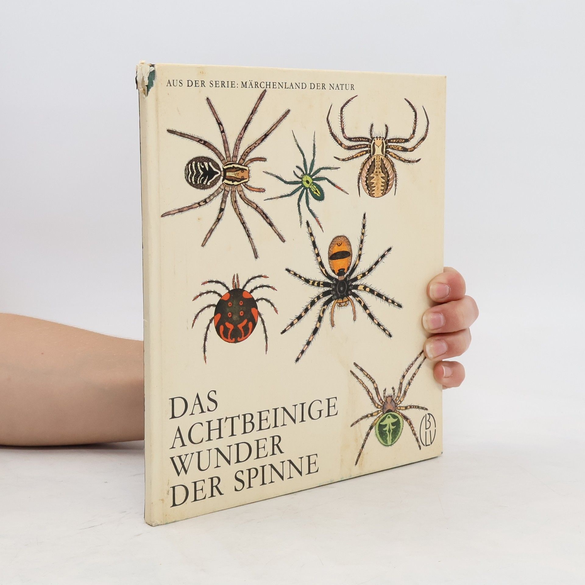 Autorenkollektiv Das achtbeinige Wunder der Spinne