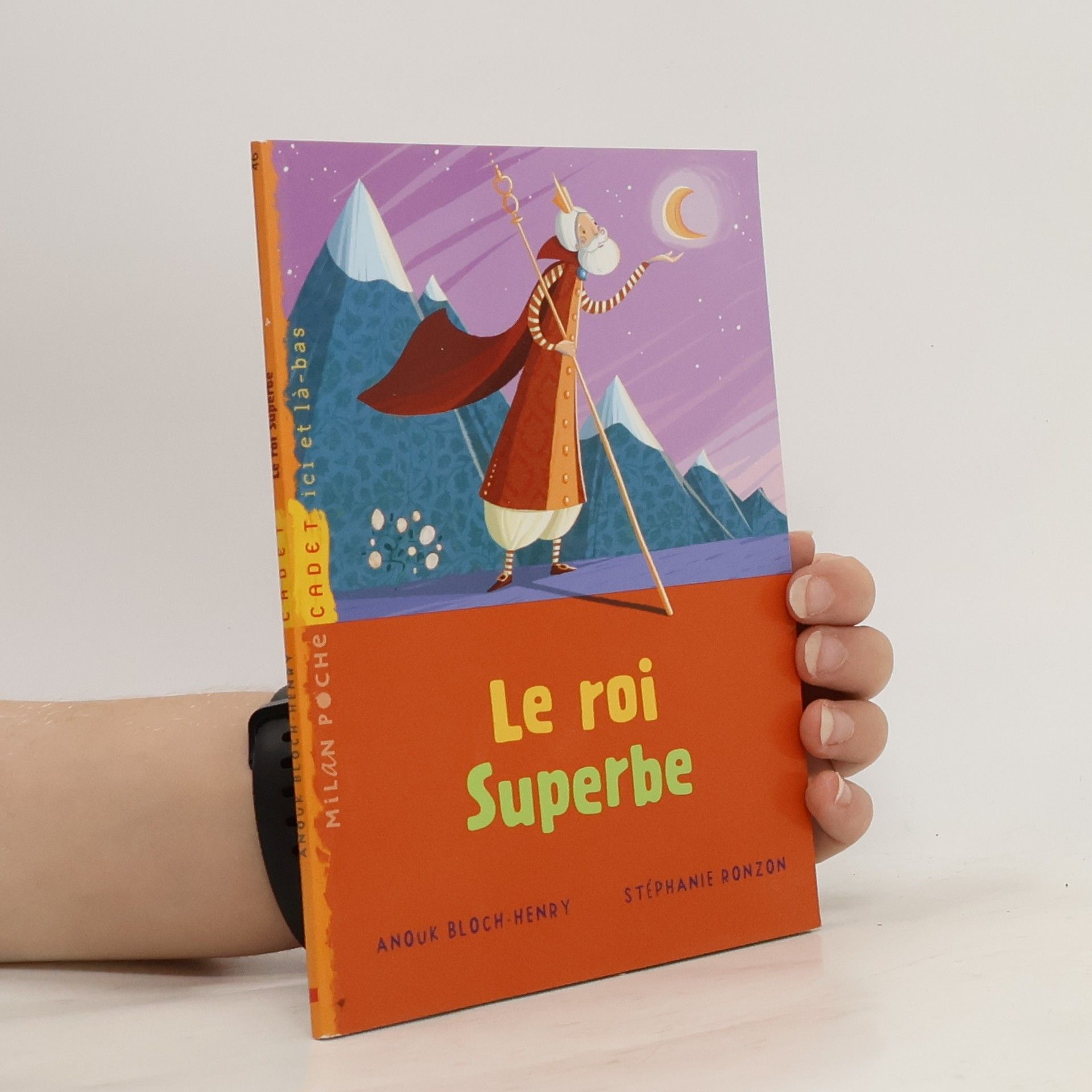 Anouk Bloch-Henry Le roi superbe