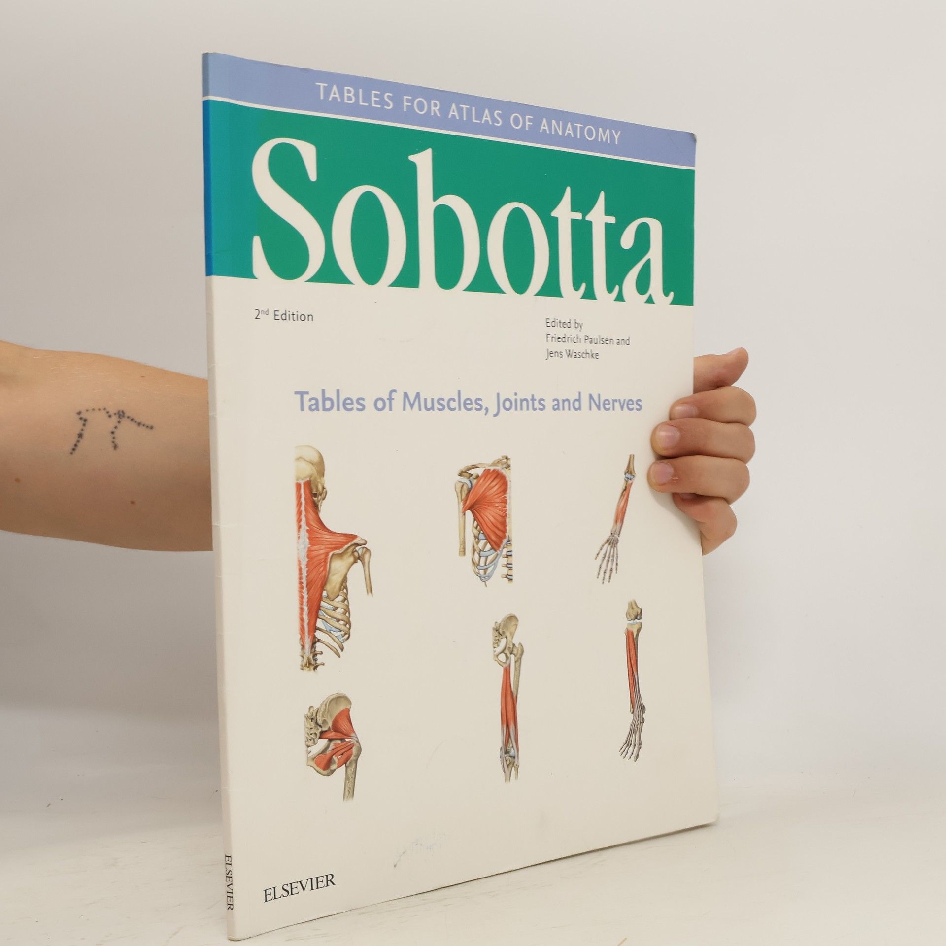 Friedrich Paulsen Sobotta Tables of Muscles, Joints and Nerves, English/Latin