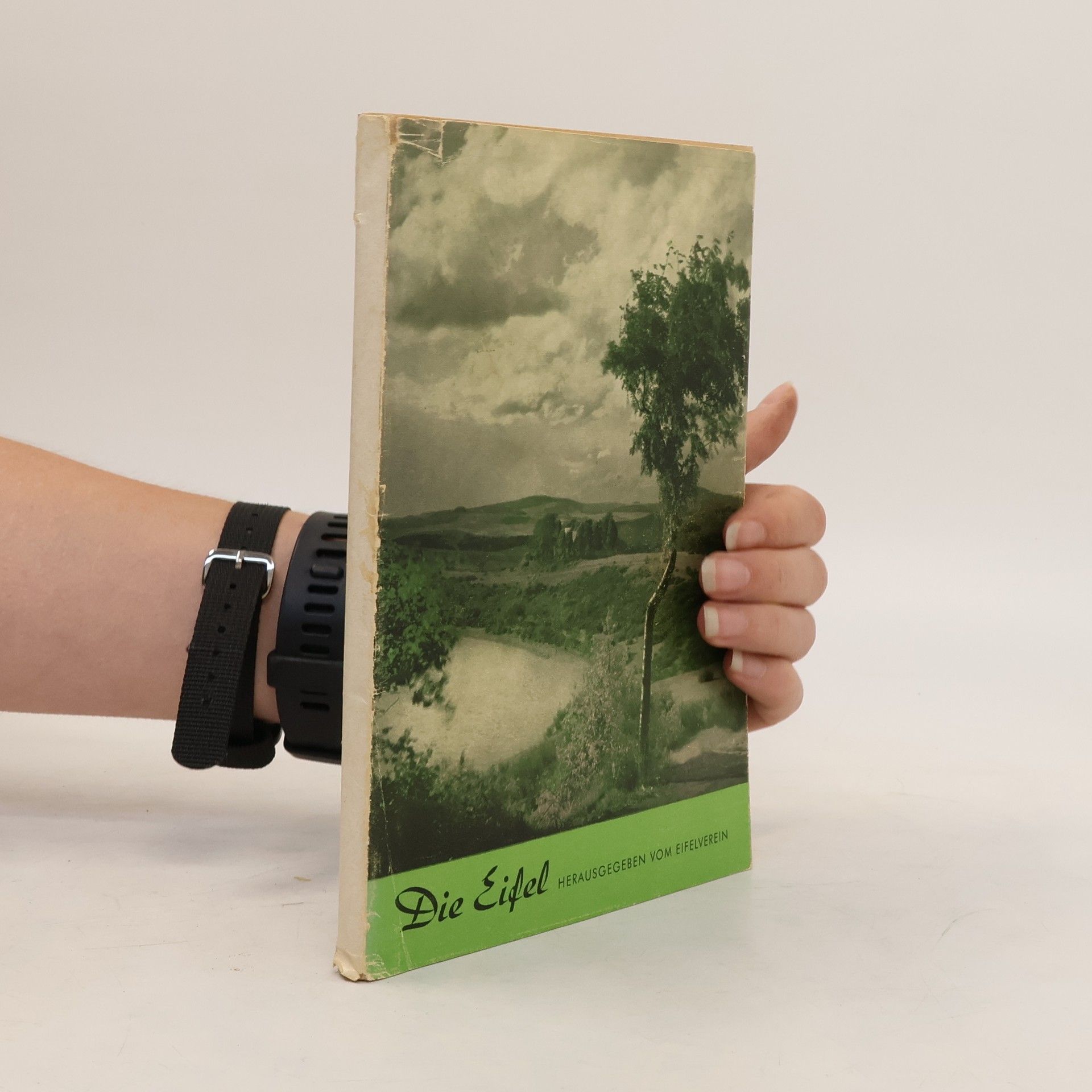 Autorenkollektiv Die Eifel