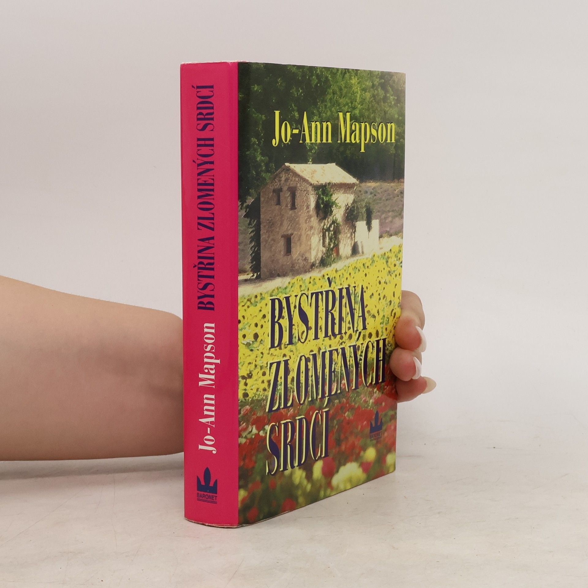 Jo Ann Mapson Bystřina zlomených srdcí