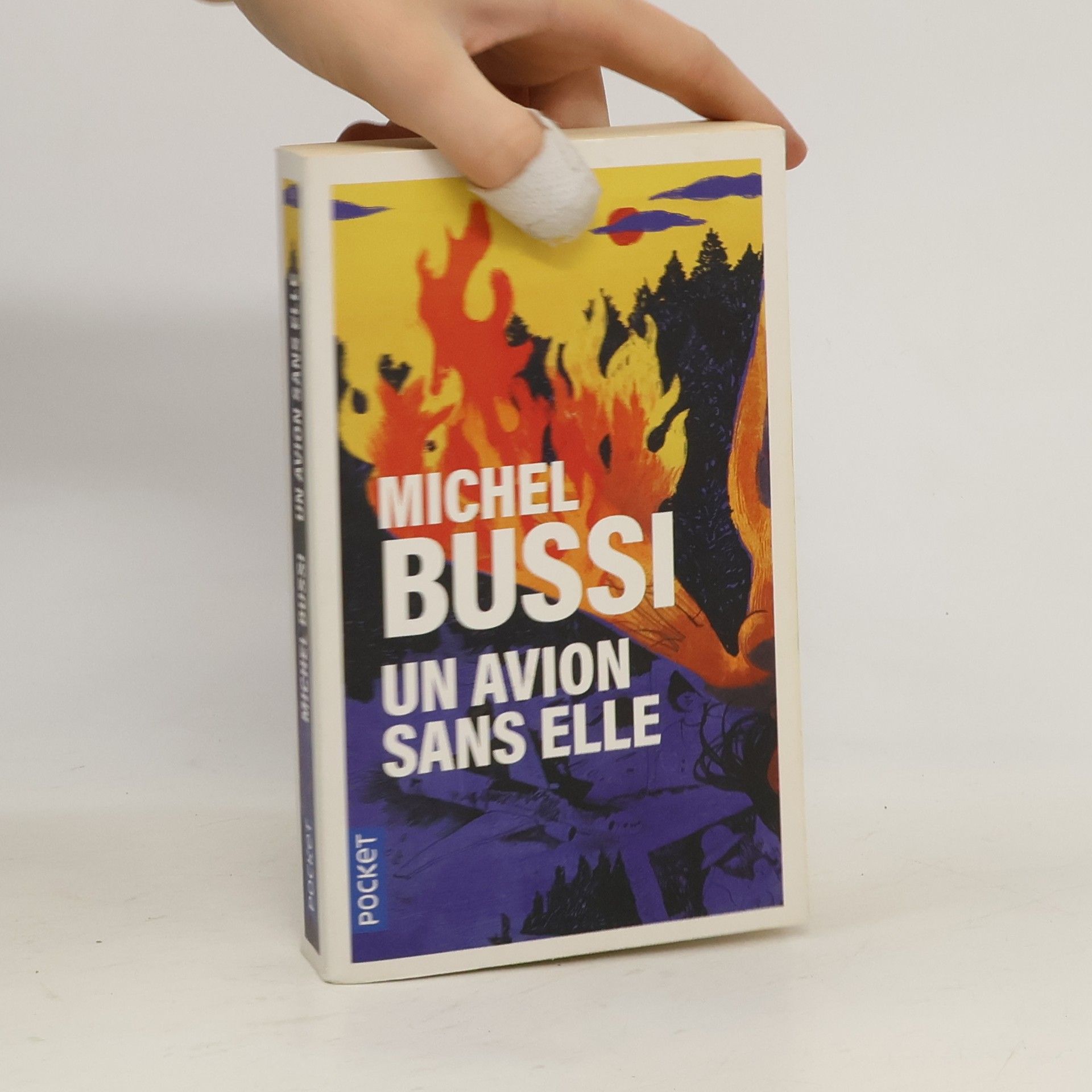 Michel Bussi Un avion sans elle