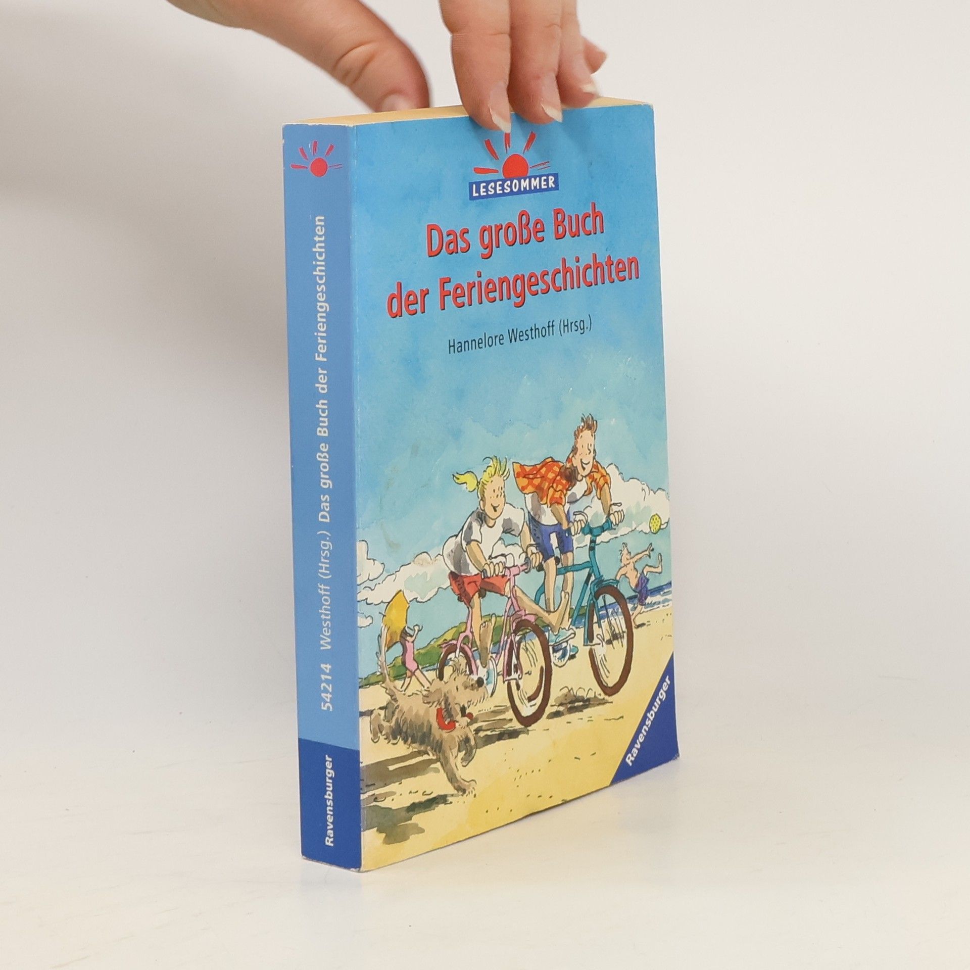 Hannelore Westhoff Das große Buch der Feriengeschichten
