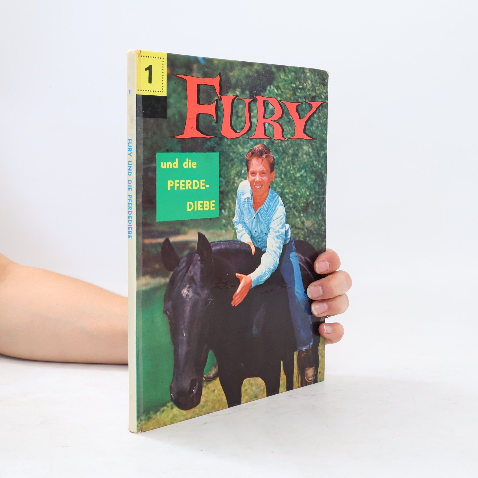 René van Nerum Fury  1
