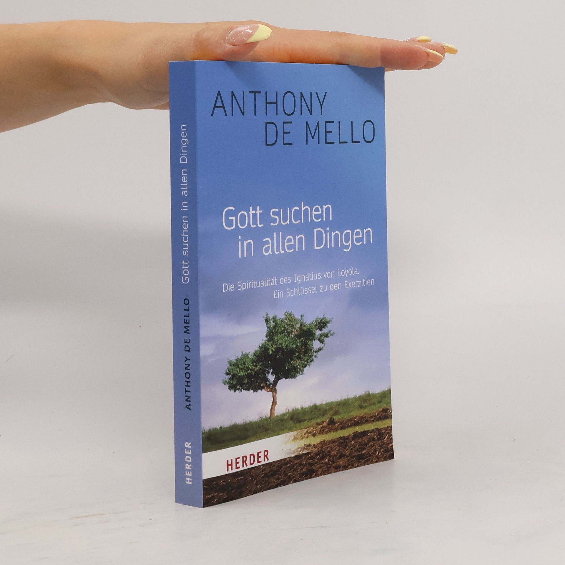 Anthony De Mello Gott suchen in allen Dingen