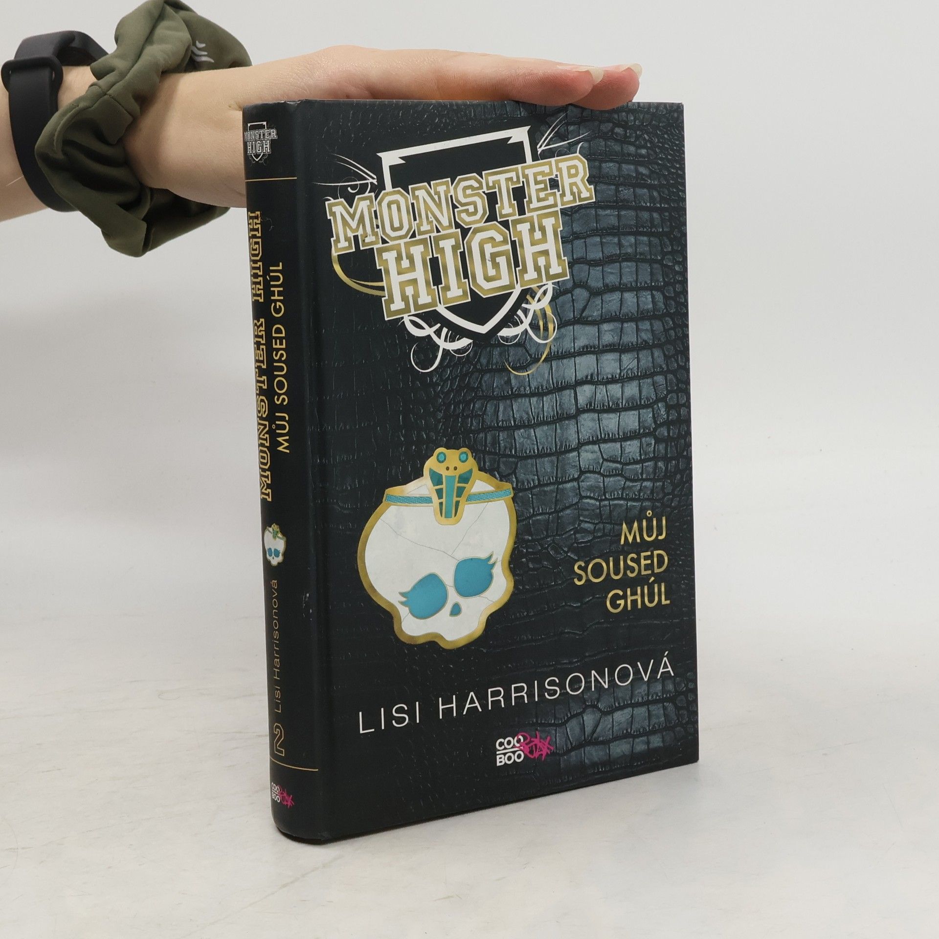 Lisi Harrison Můj soused Ghúl. Monster High 2