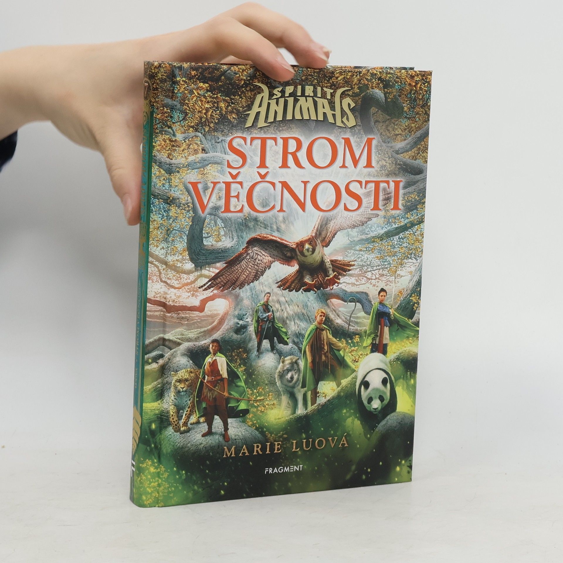 Marie Lu Strom věčnosti