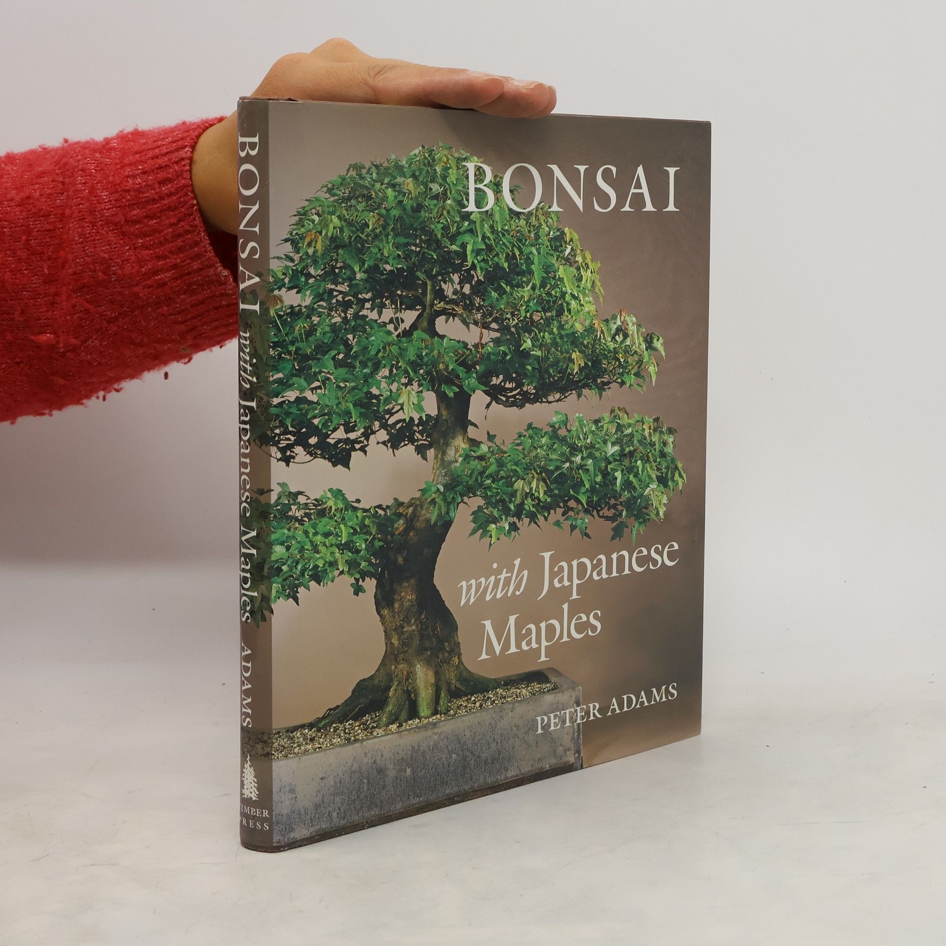 Peter Adamski Bonsai with Japanese Maples