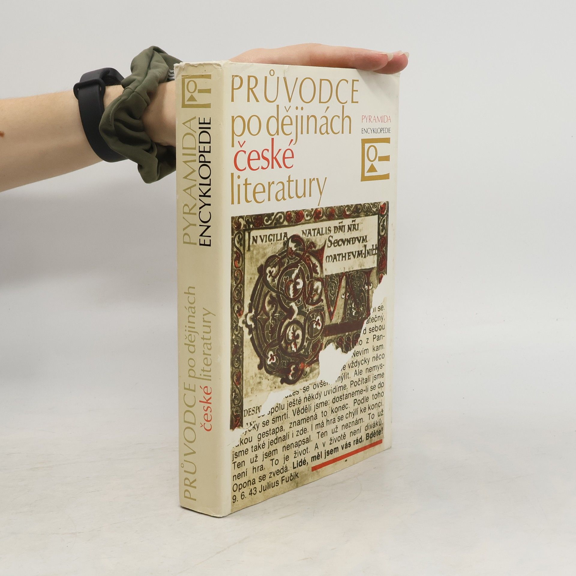 Josef Hrabák Průvodce po dějinách české literatury
