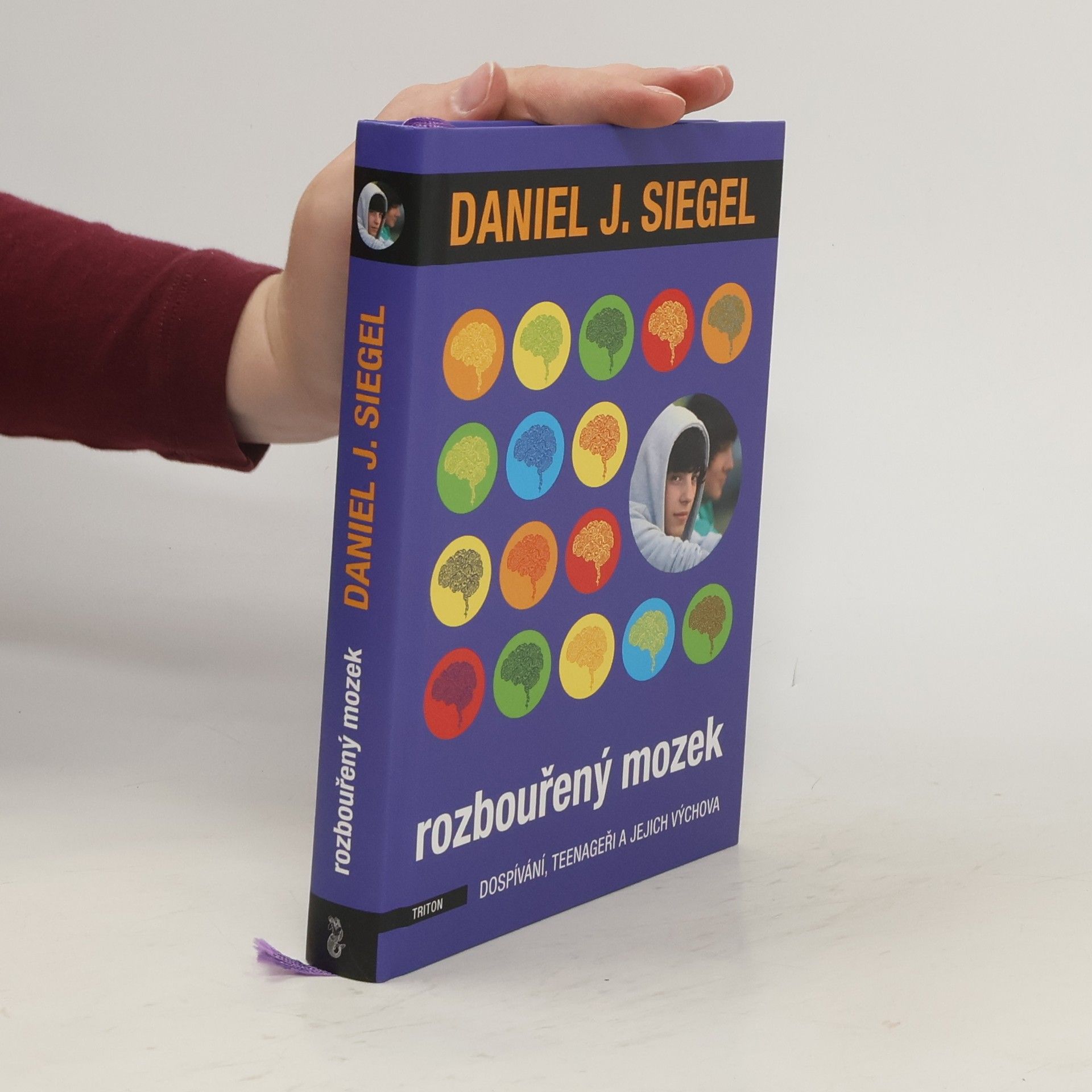 Daniel J. Siegel Rozbouřený mozek : dospívání, teenageři a jejich výchova