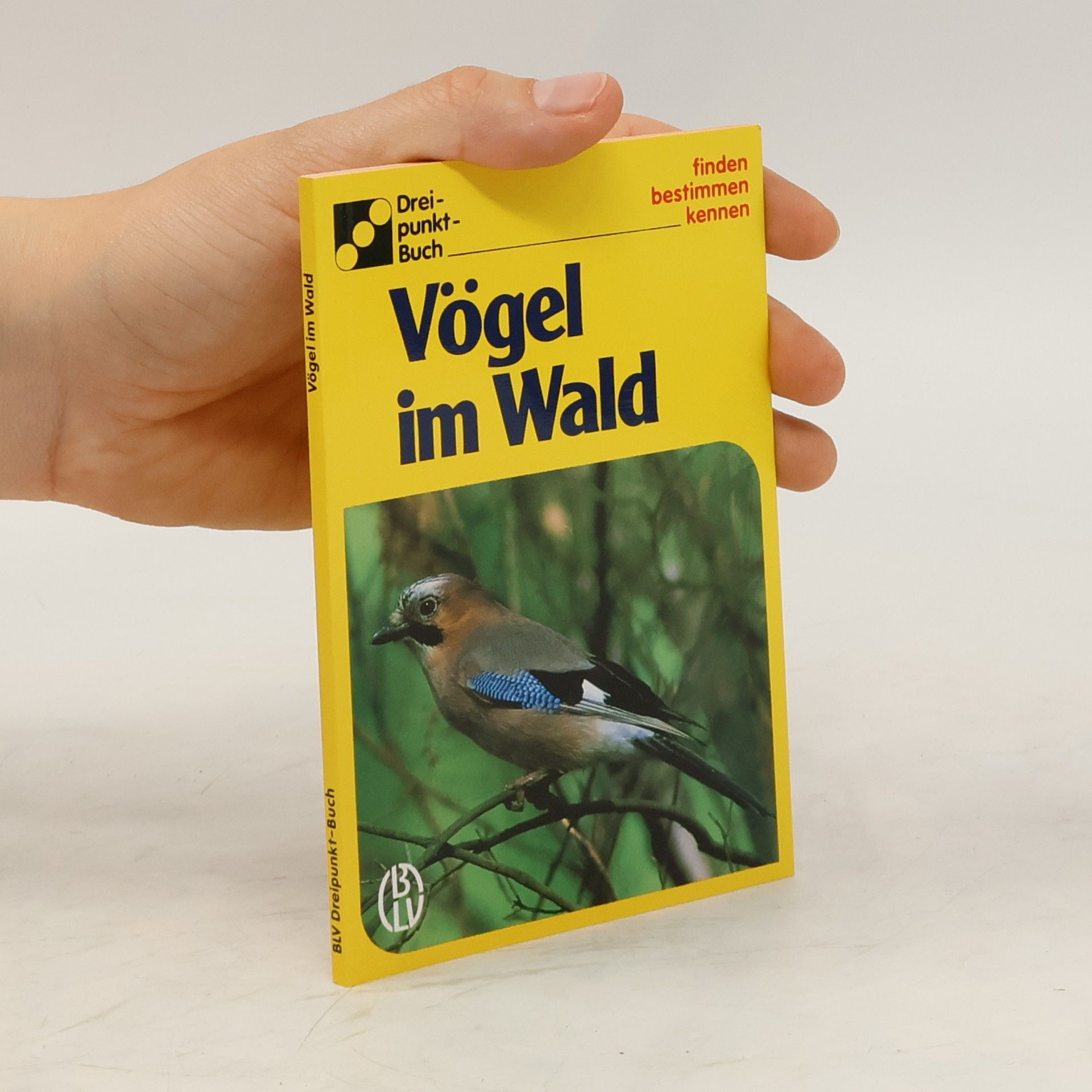 Ute E. Zimmer Vögel im Wald