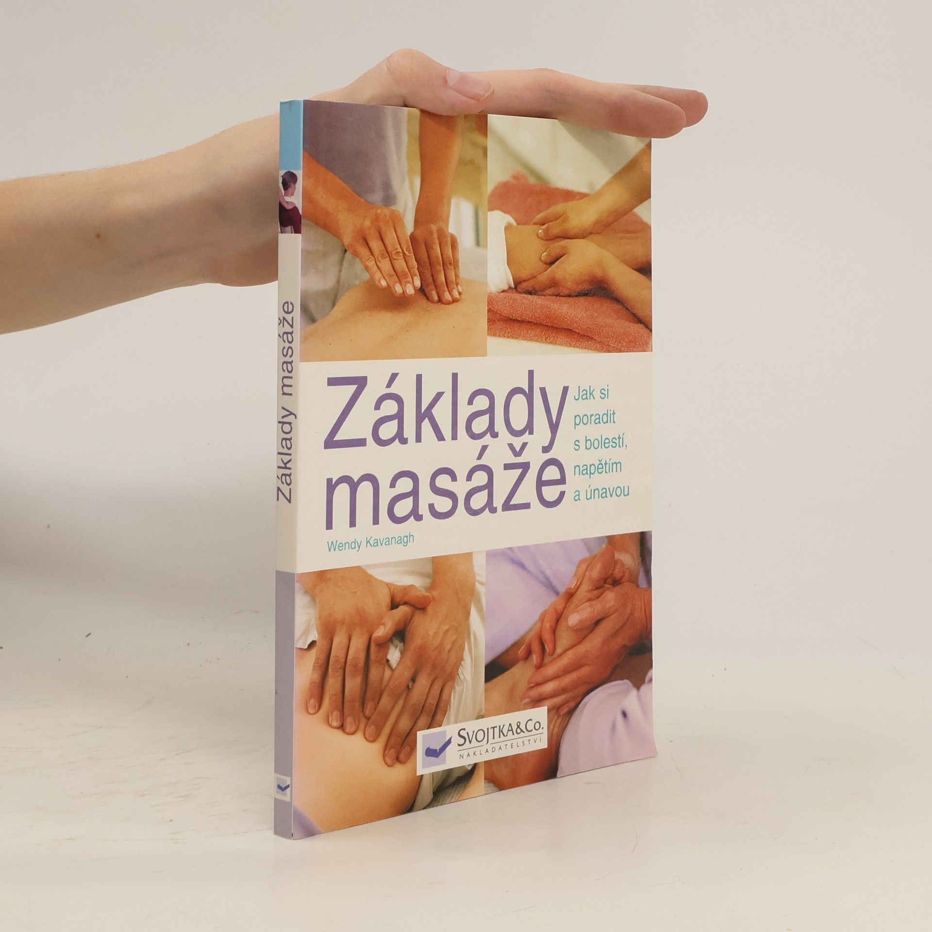 Wendy Kavanagh Základy masáže