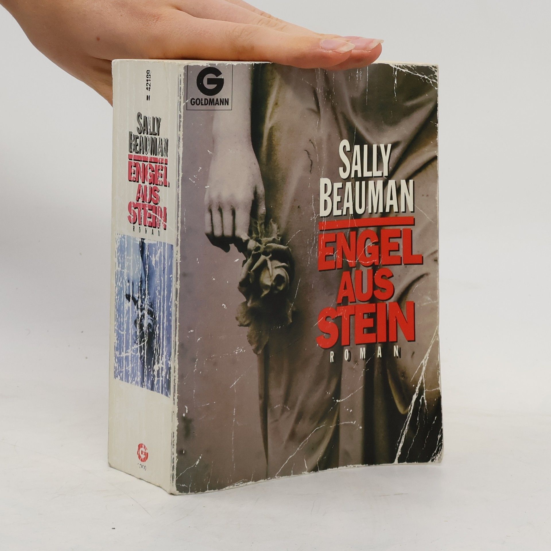 Sally Beauman Engel aus Stein