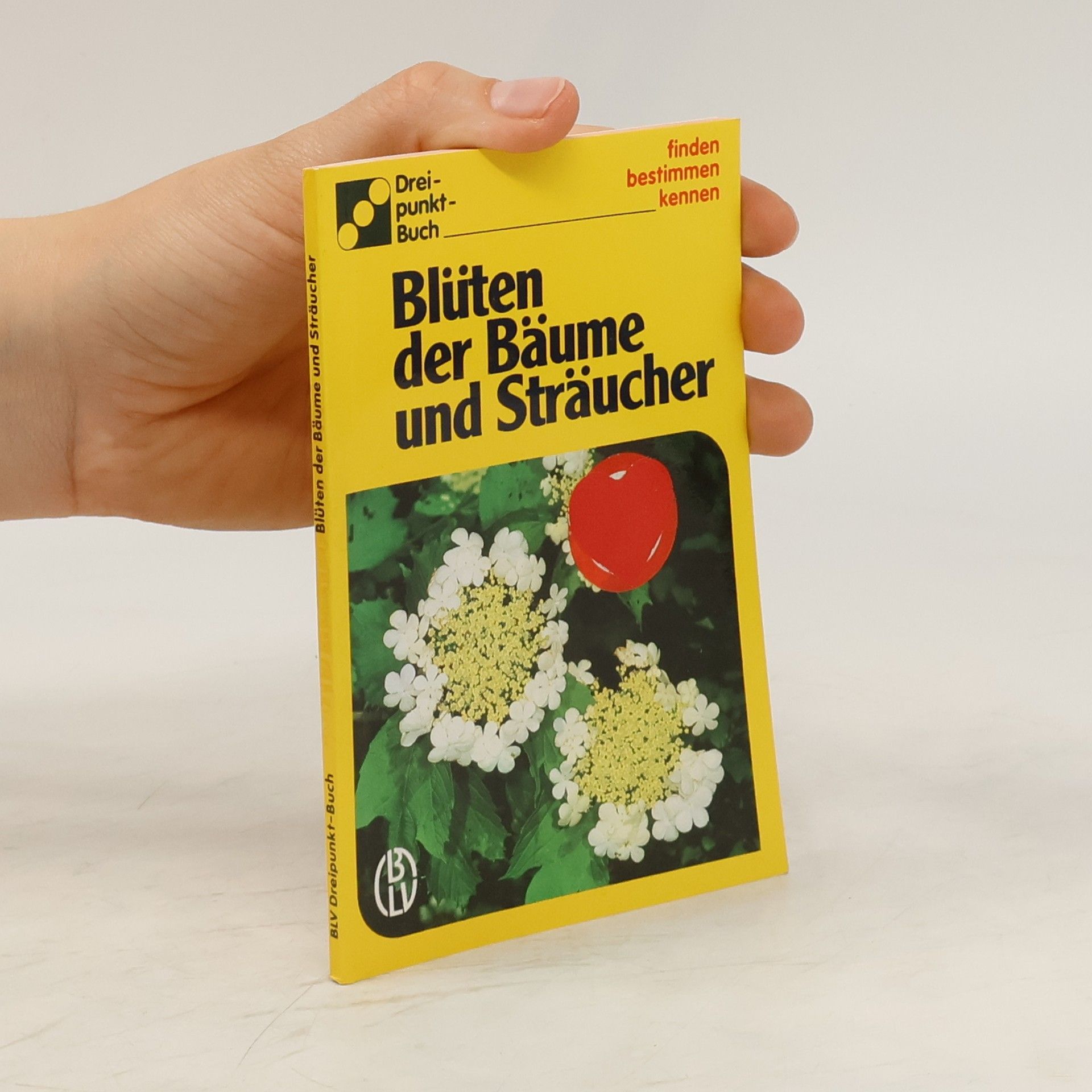 Dorothee Eisenreich Blüten der Bäume und Sträucher