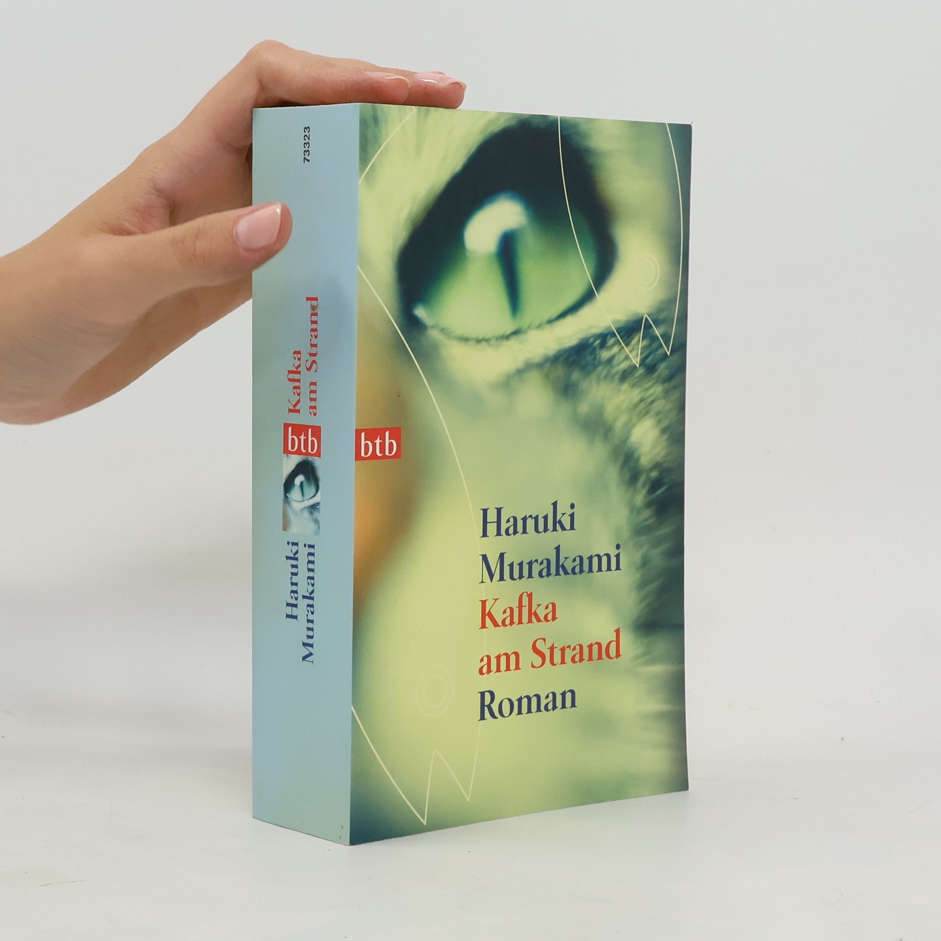 Haruki Murakami Kafka am Strand