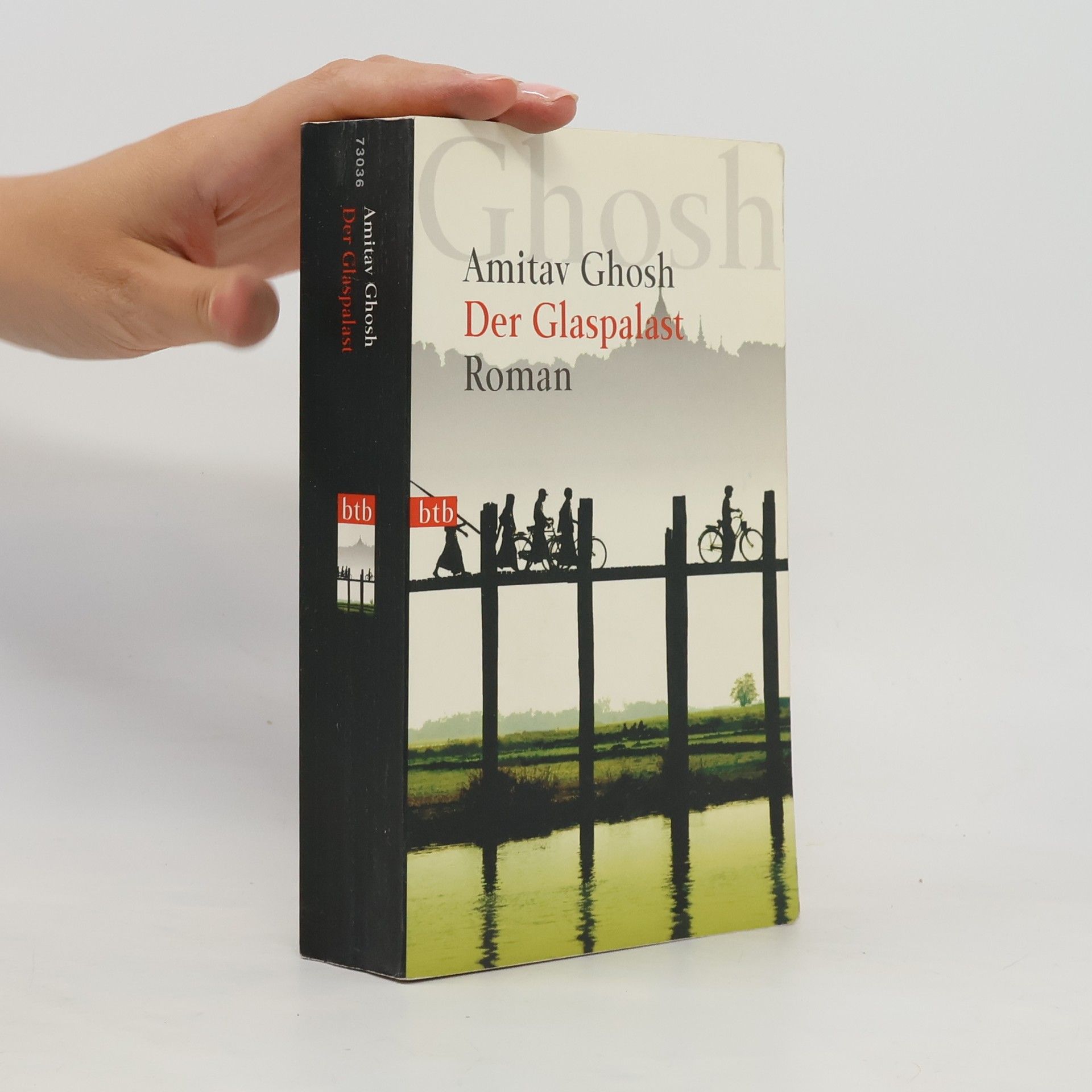 Amitav Ghosh Der Glaspalast