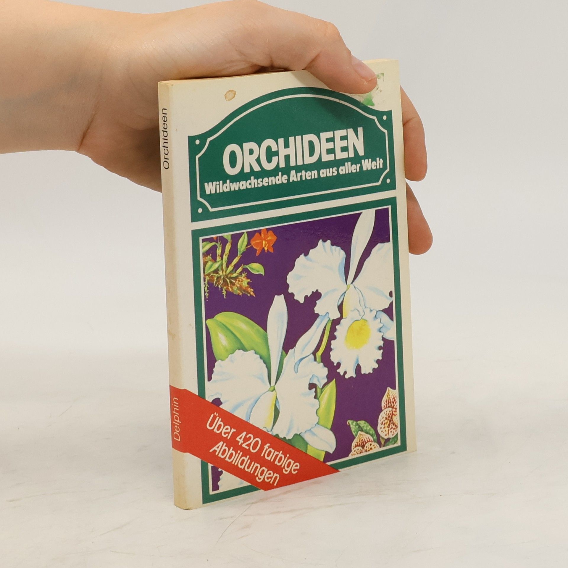 Floyd S. Shuttleworth Orchideen