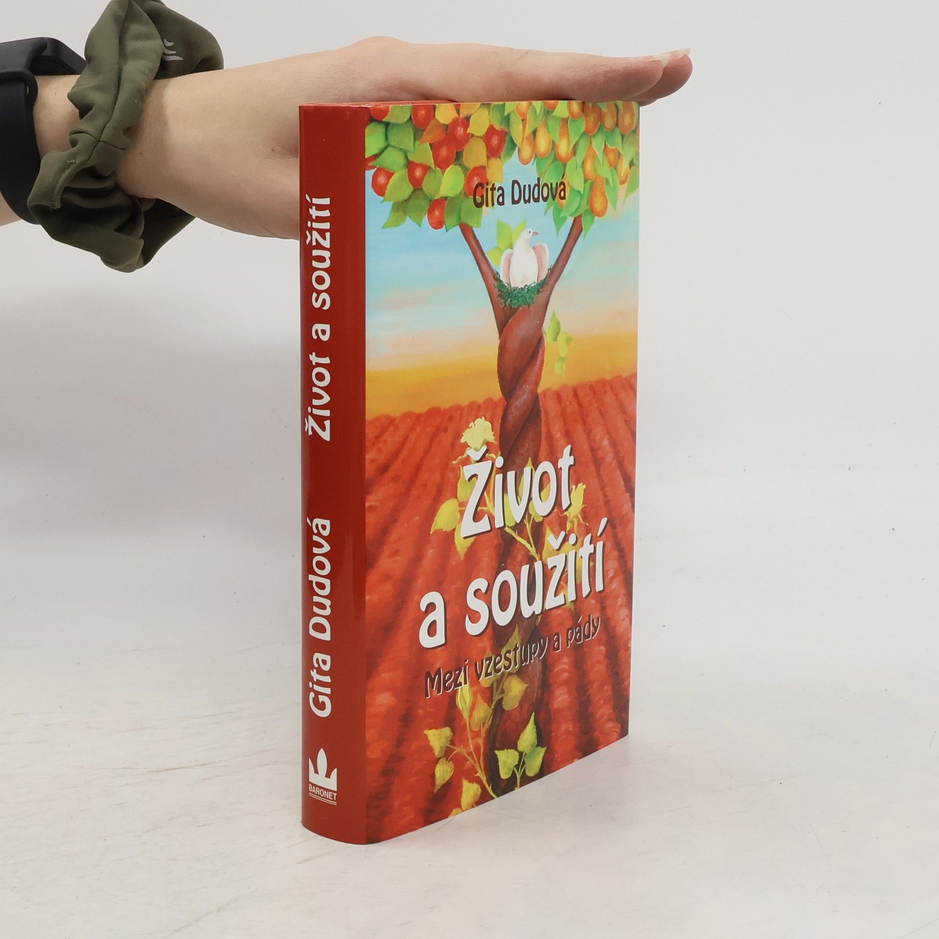 Gita Dudová Život a soužití : mezi vzestupy a pády