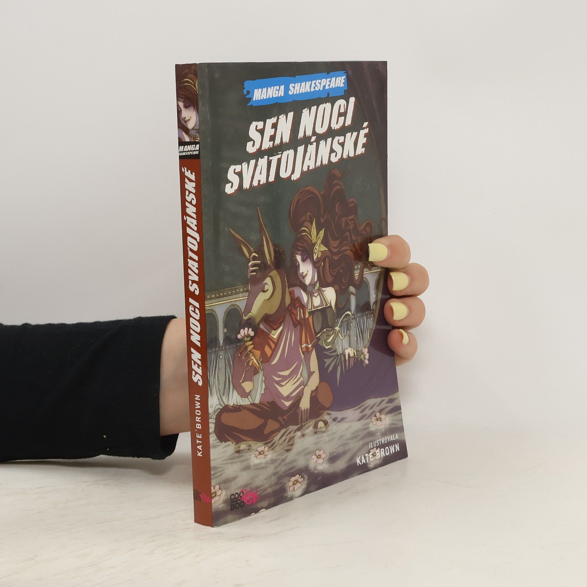 Richard Appignanesi Sen noci svatojánské (komiks)