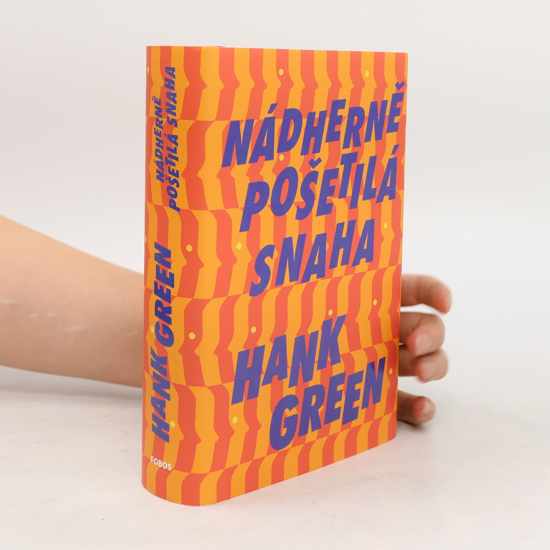 Hank Green Nádherně pošetilá snaha