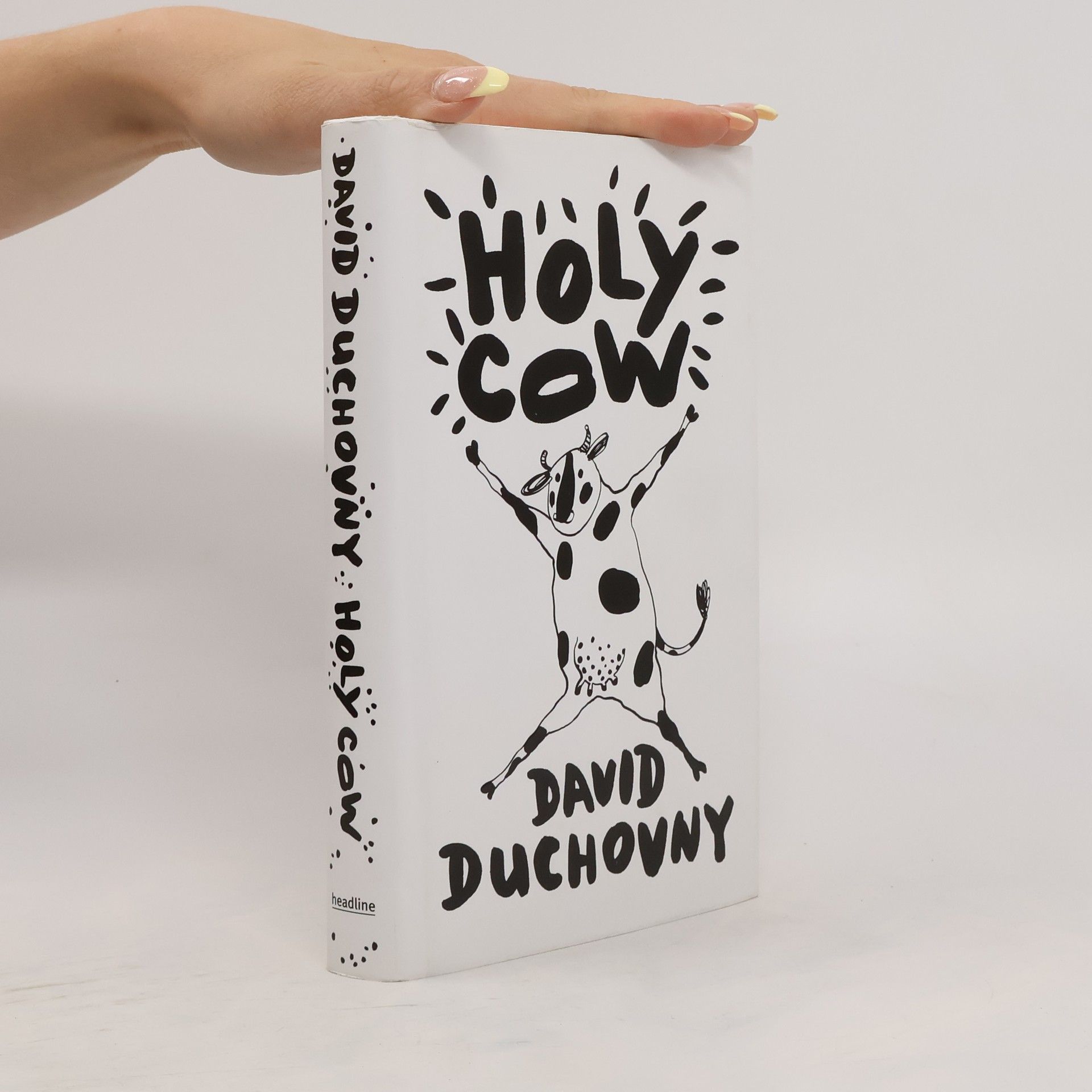 David Duchovny Holy cow