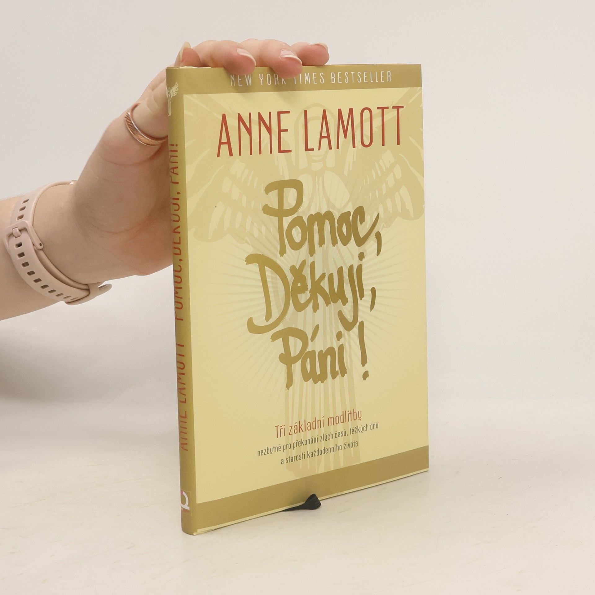 Anne Lamott Pomoc, Děkuji, Páni!