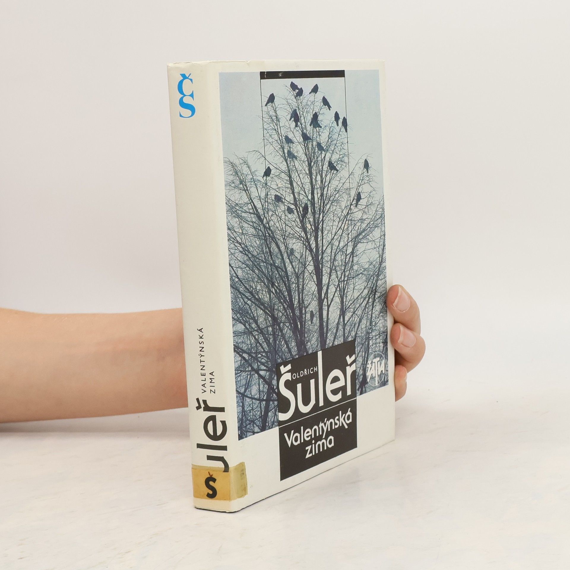 Oldřich Šuleř Valentýnská zima