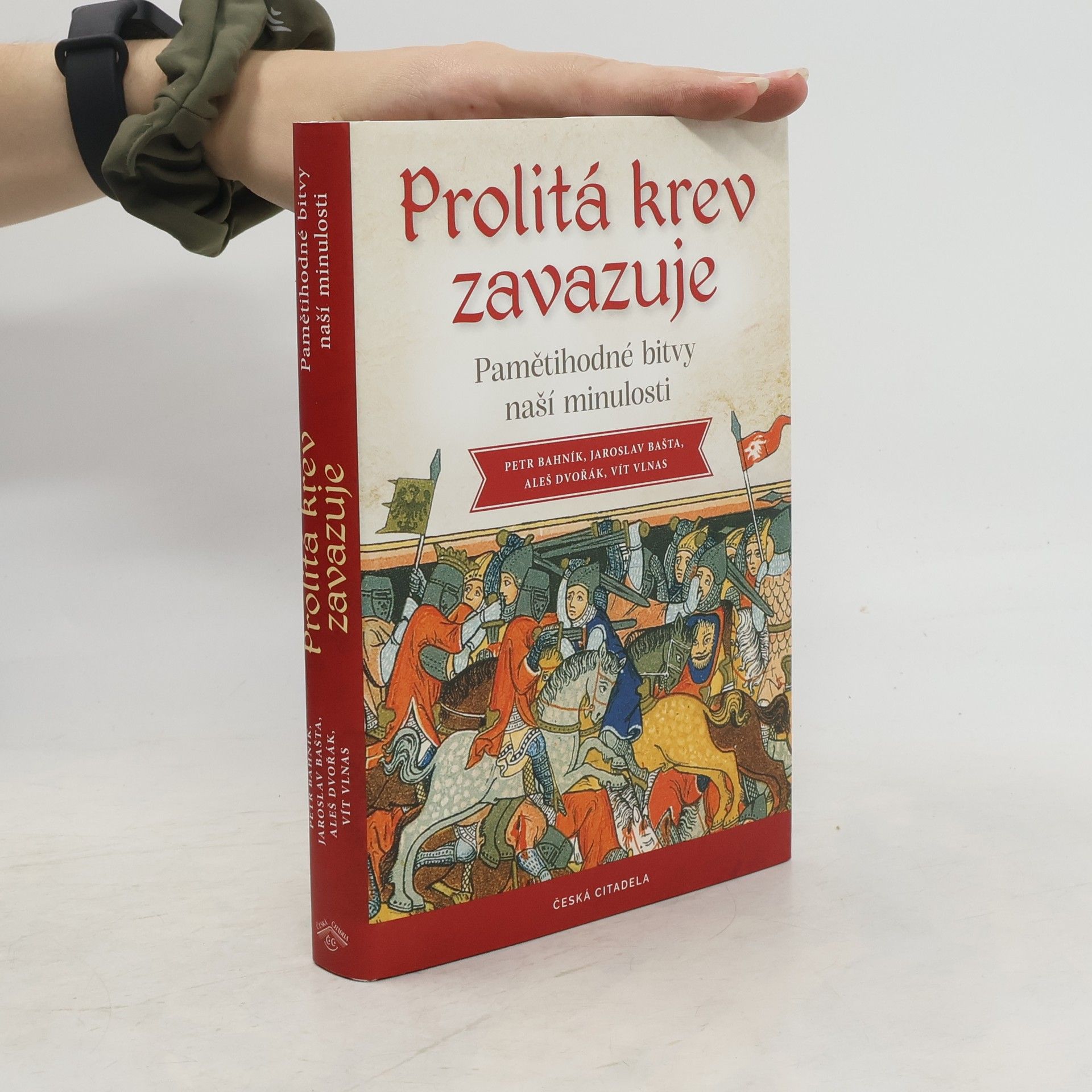 Vít Vlnas Prolitá krev zavazuje: Pamětihodné bitvy naší minulosti
