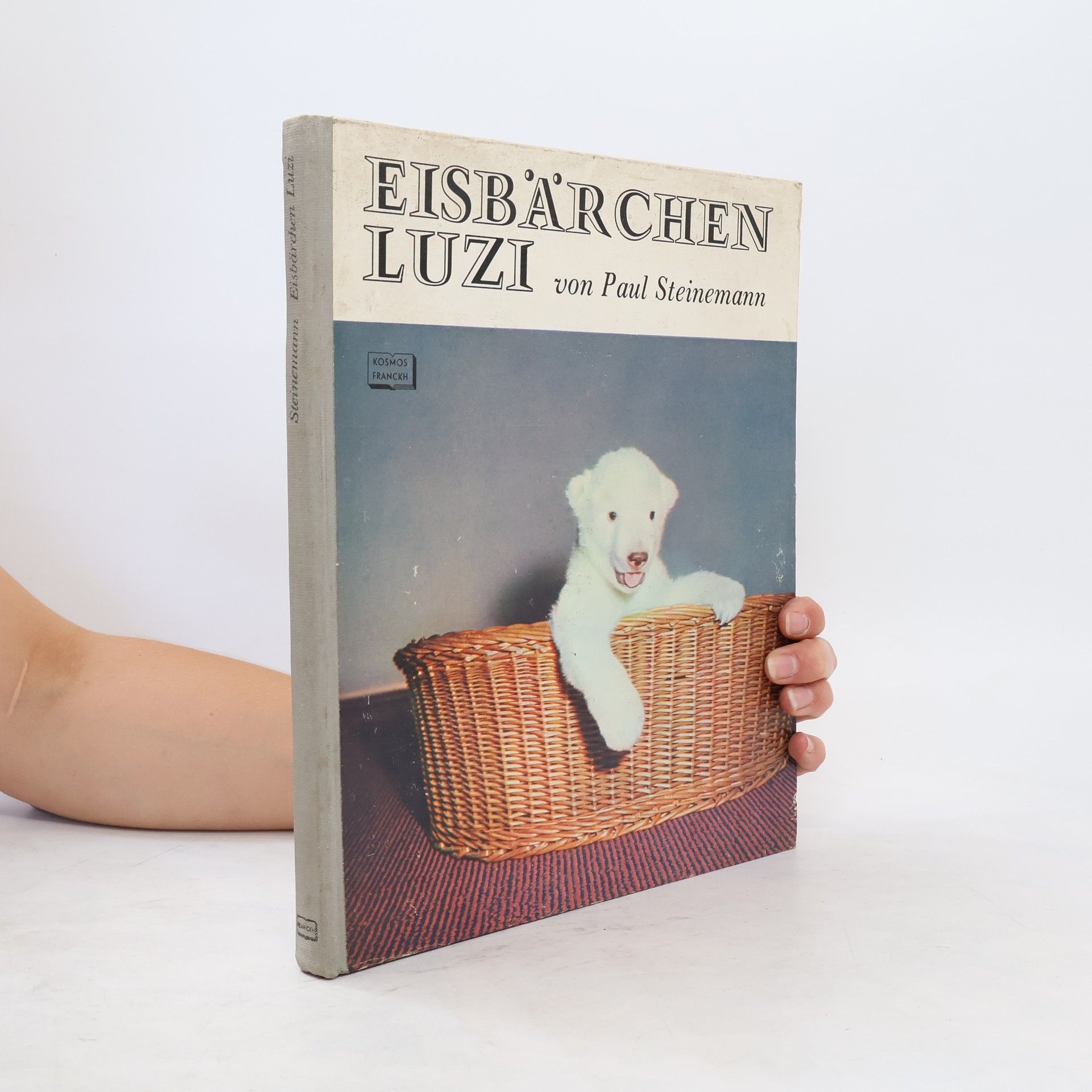 Paul Steinemann Eisbärchen Luzi
