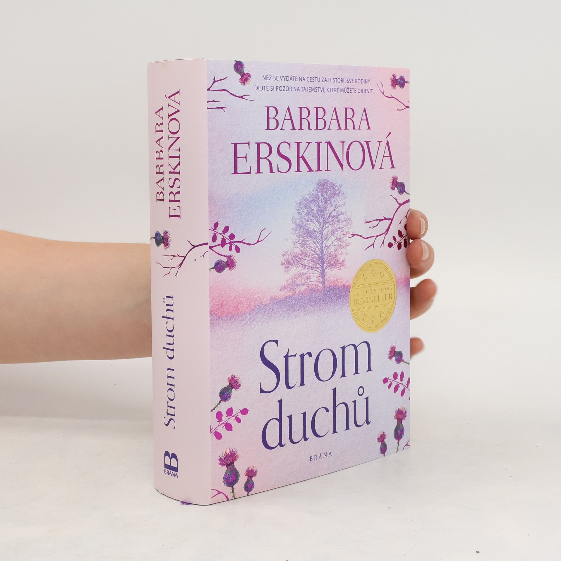 Barbara Erskine Strom duchů