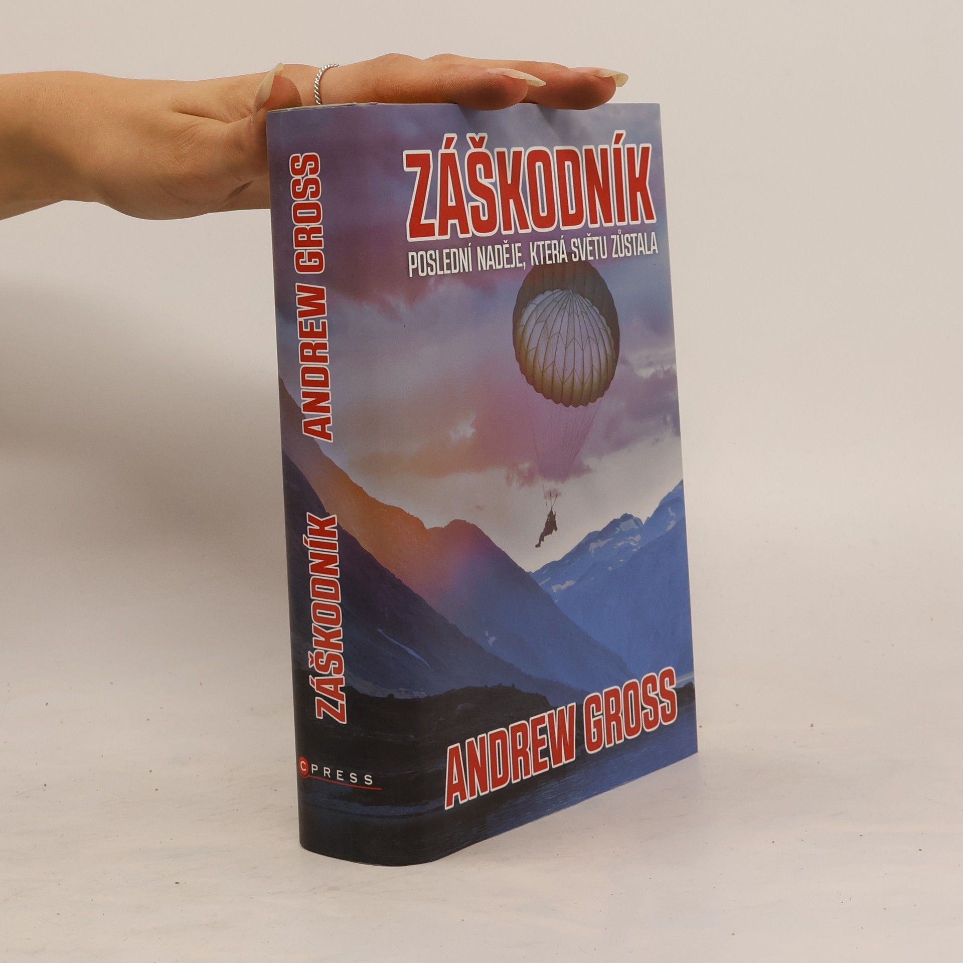 Andrew Gross Záškodník