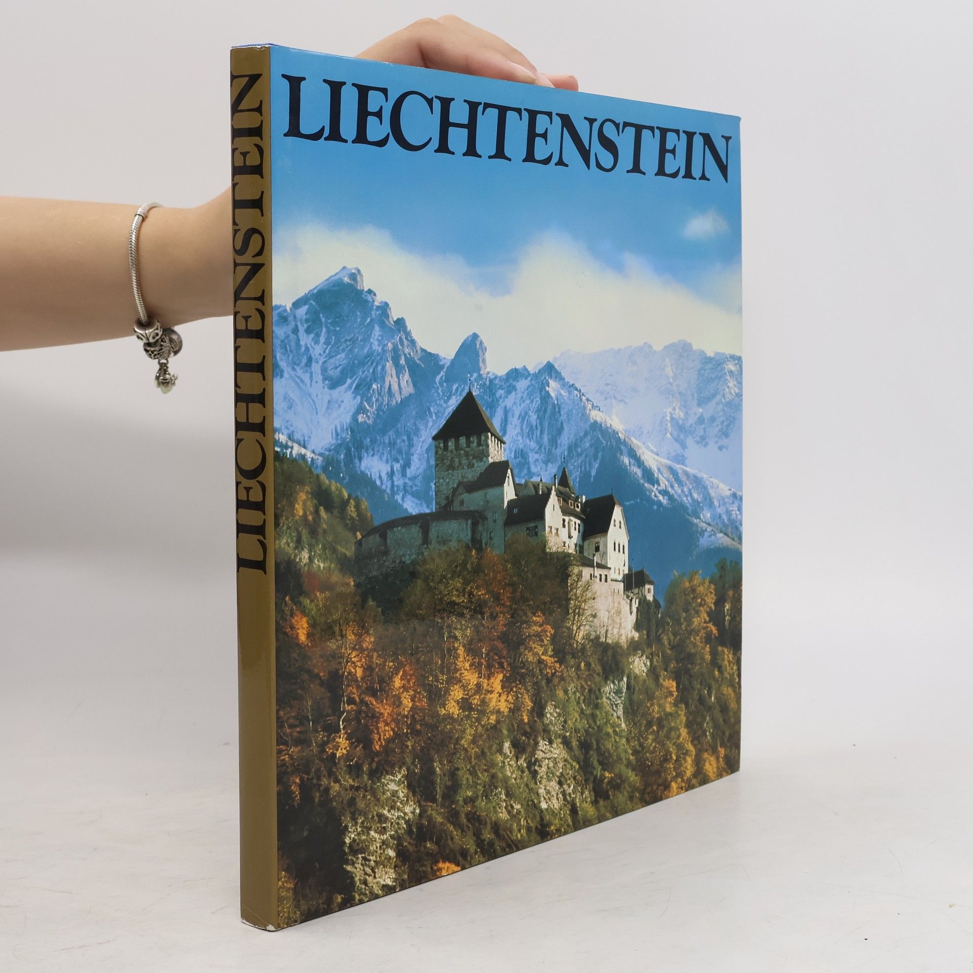 Heinz Finke Liechtenstein