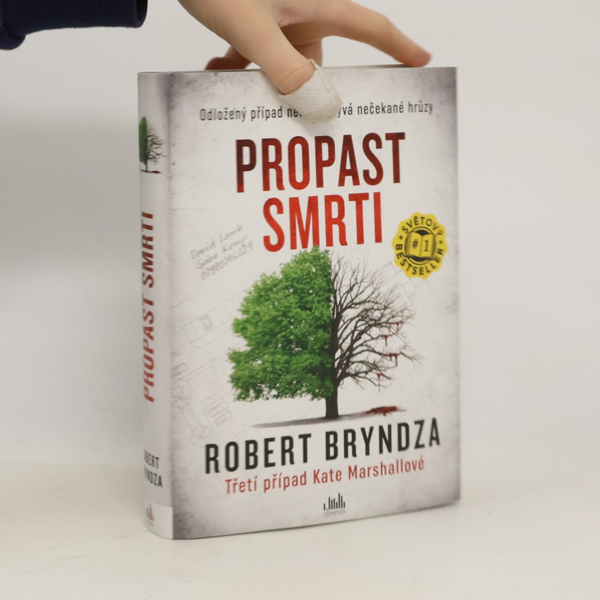 Robert Bryndza Propast smrti
