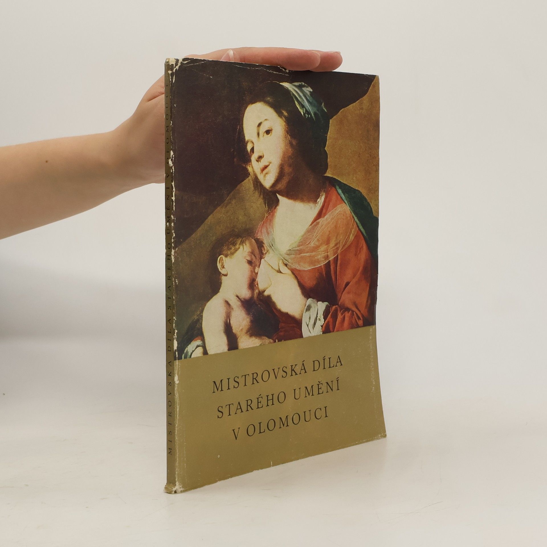 AA.VV. Mistrovská díla starého umění v Olomouci